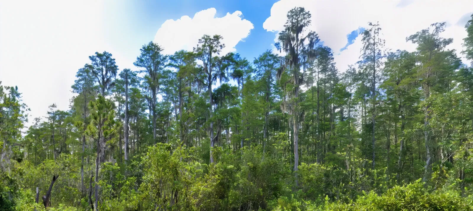 An Acre in the Path of Growth Between Orlando and Tampa