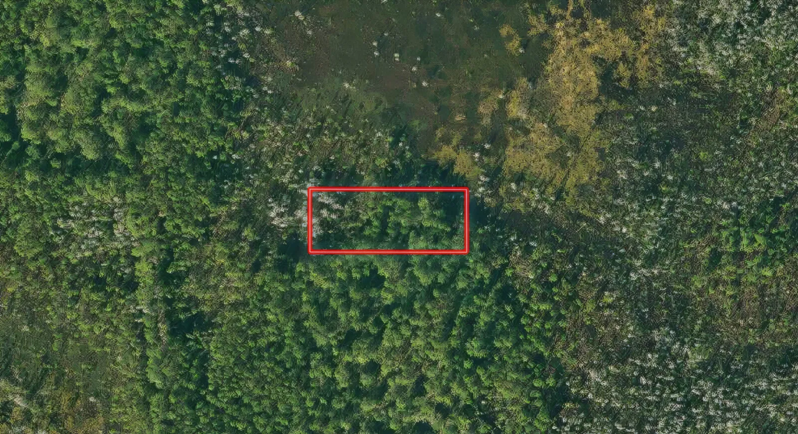 An Acre in the Path of Growth Between Orlando and Tampa