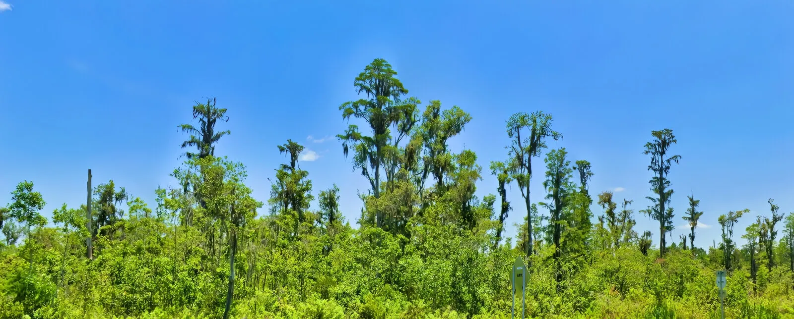 Start Land Banking with an Acre Between Tampa and Orlando