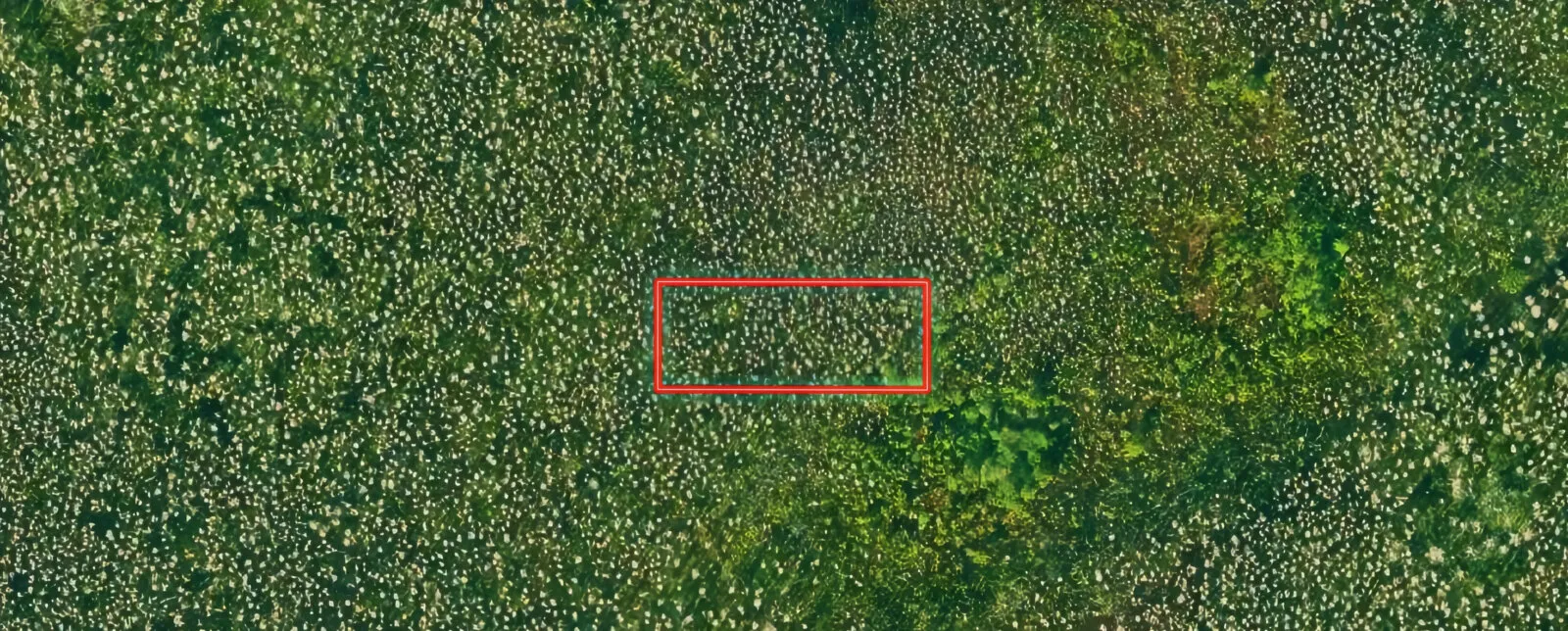 Start Land Banking with an Acre Between Tampa and Orlando