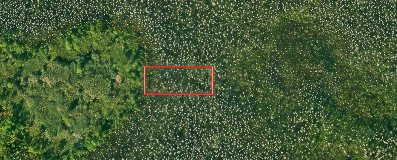 An Acre Land Investment off I-4