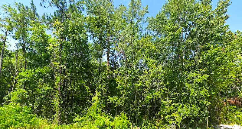 1.22 Acres Between Tampa and Orlando in Gateway Acres