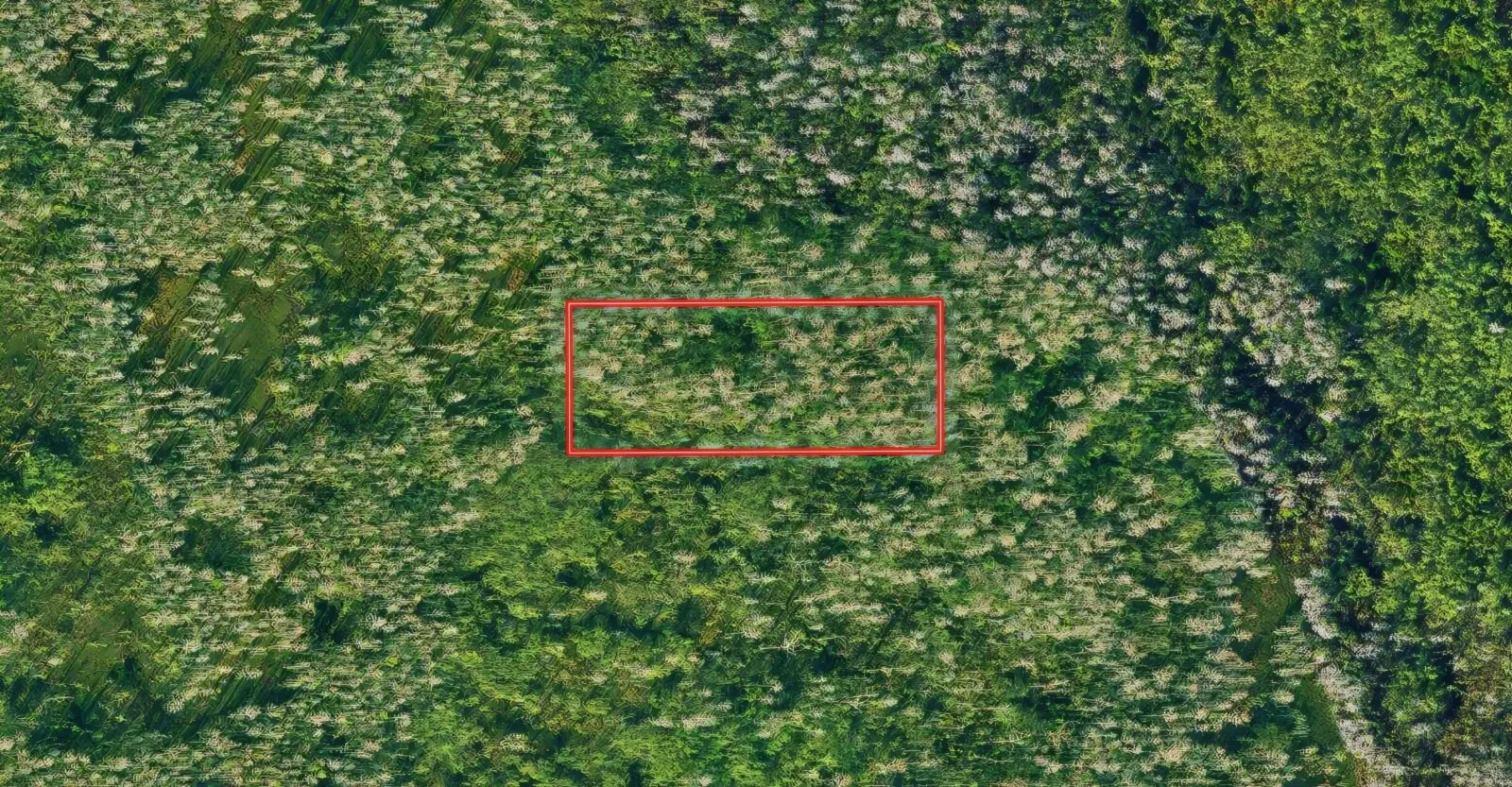 One Acre Investment by the I-4/27 Interchange