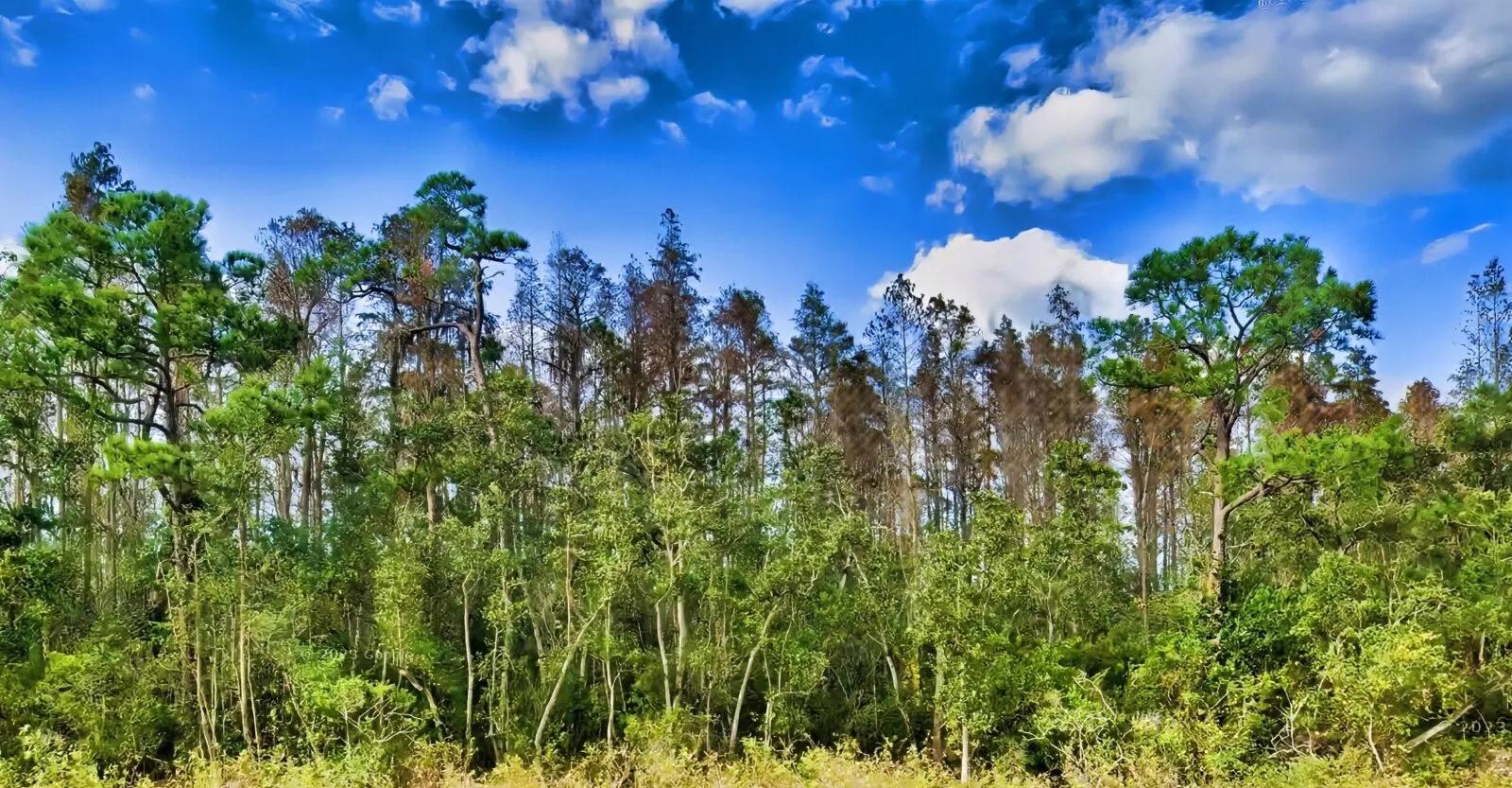 One Acre Investment by the I-4/27 Interchange