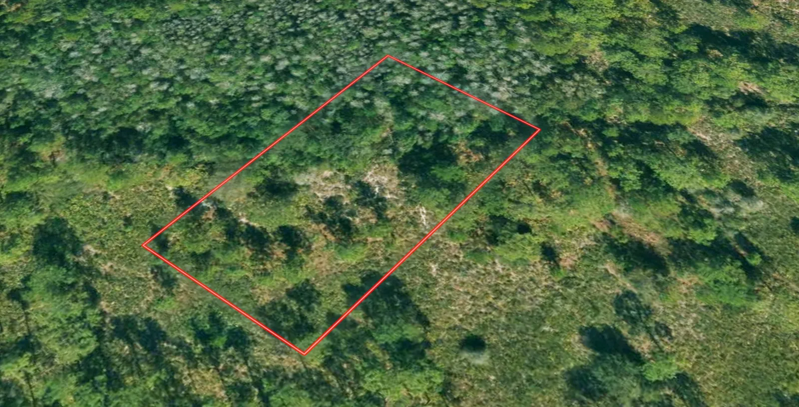 1.24 Acres for Investment or Recreation off Commonwealth Ave