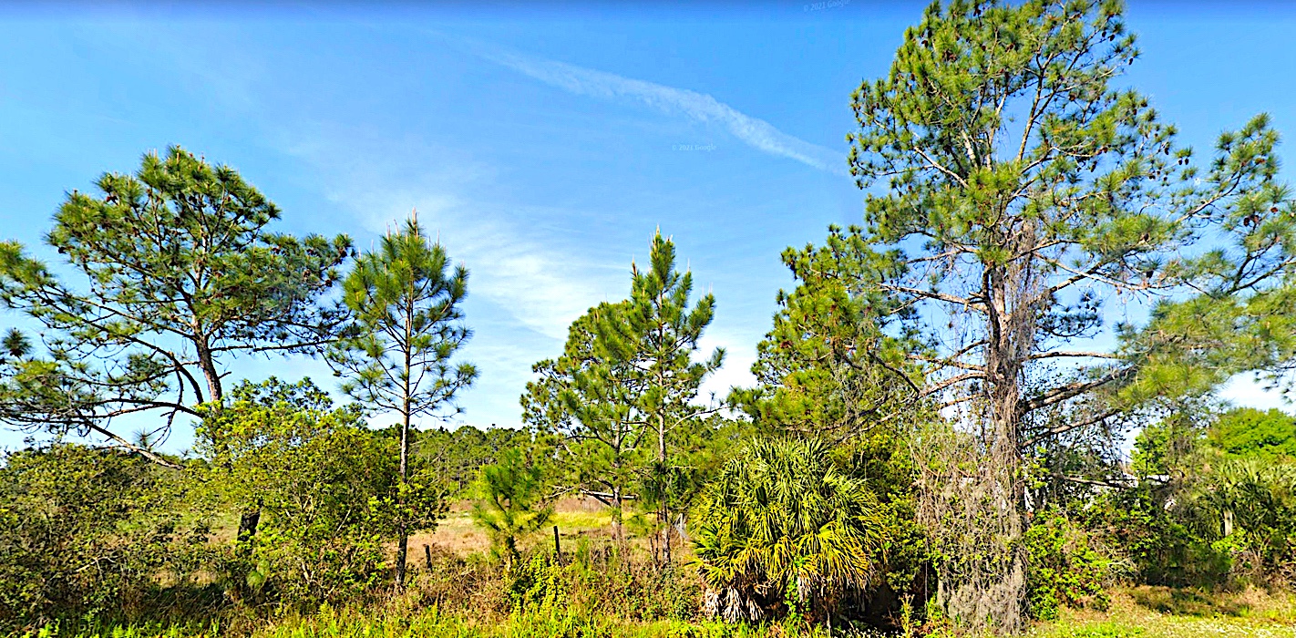Invest, Camp or Hunt in Groveland Ranch Acres