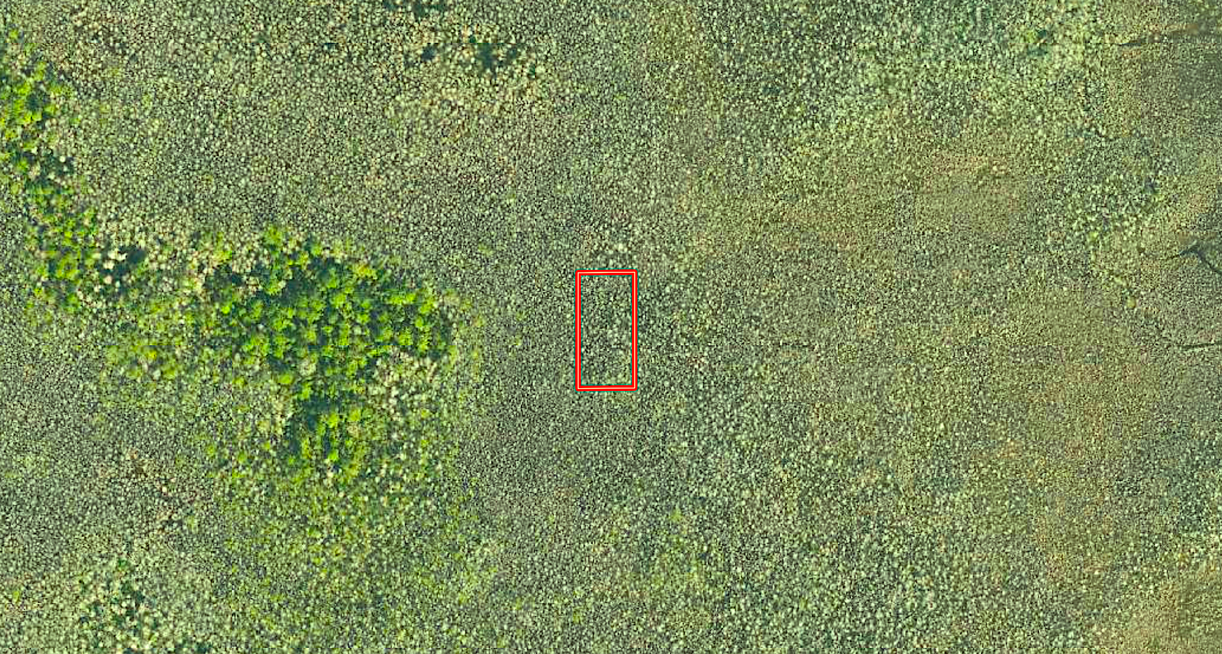 1.25 Acres for Investment off International Speedway Blvd