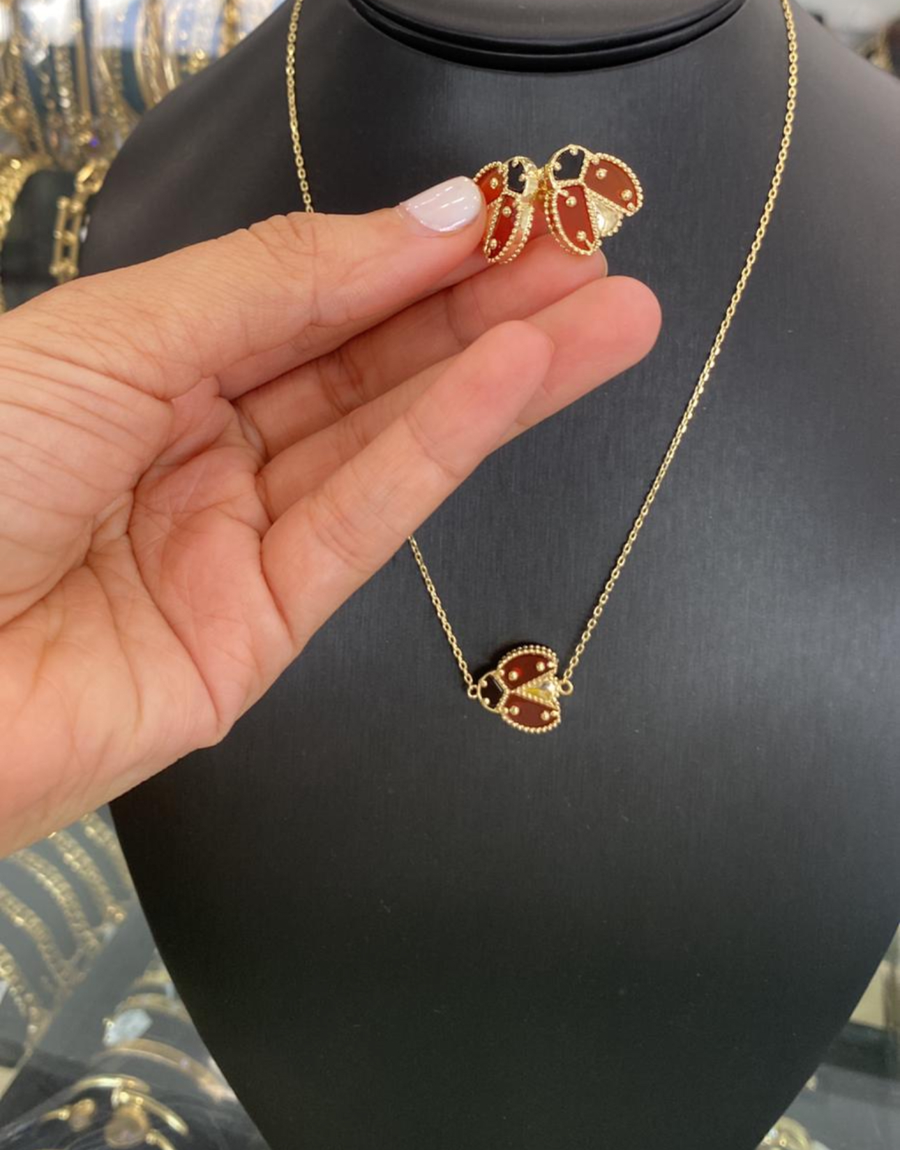 Conjunto de collar y broche de mariquita