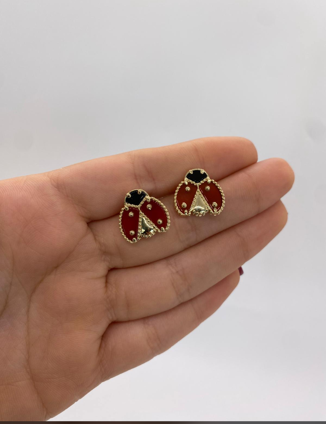 Conjunto de collar y broche de mariquita