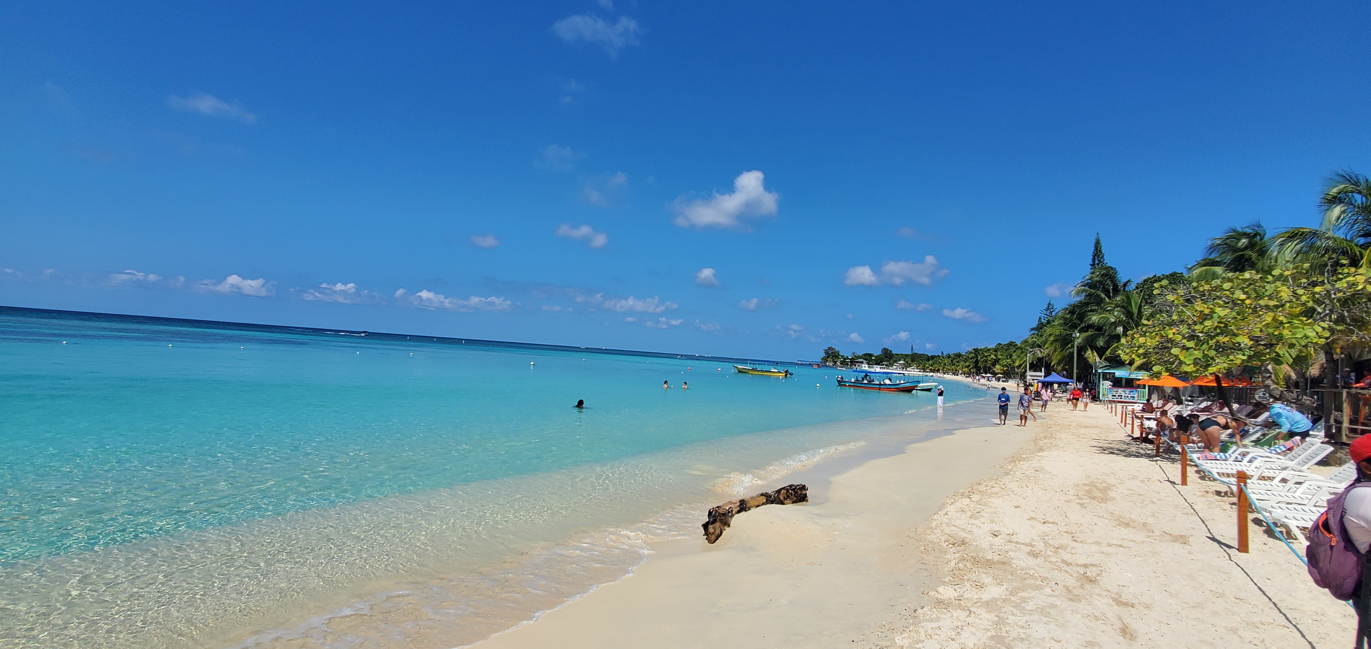 Tour por la ciudad + Parque de animales + Día de playa