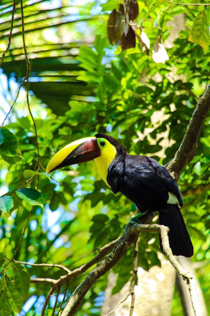  Tour por la ciudad + Parque de animales + Día de playa