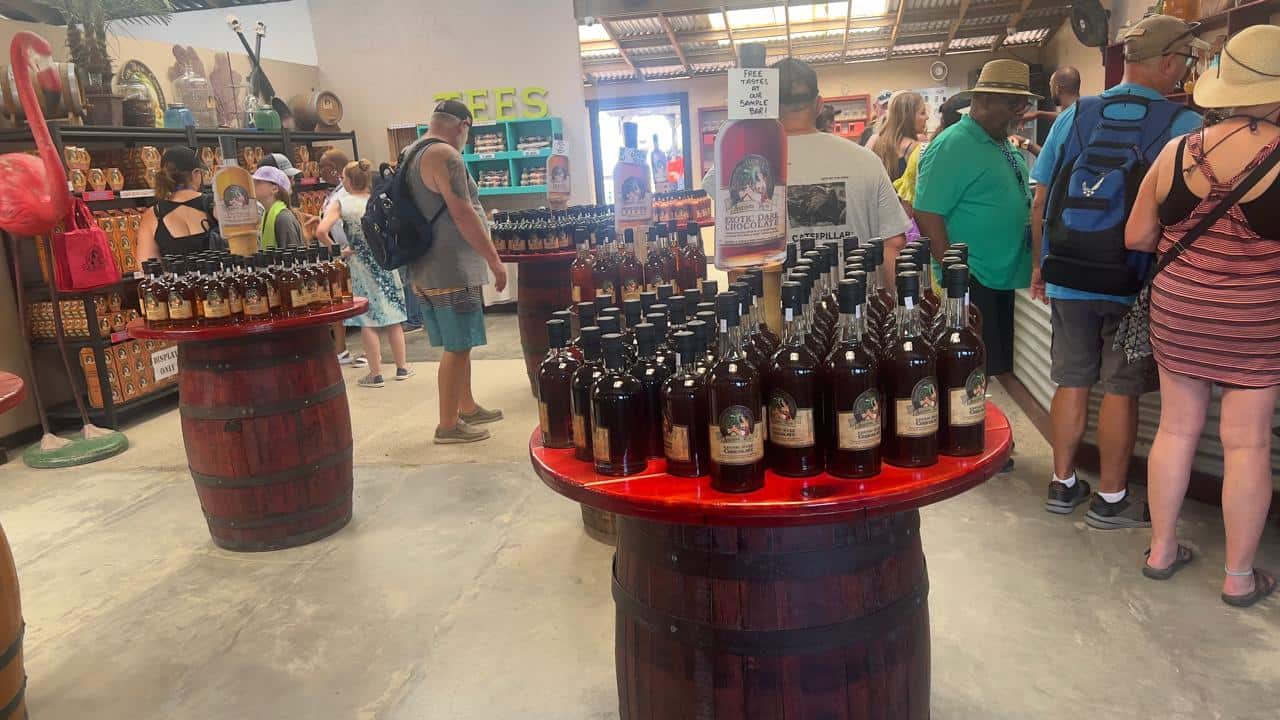 Recorrido a caballo +Tour y Playa 