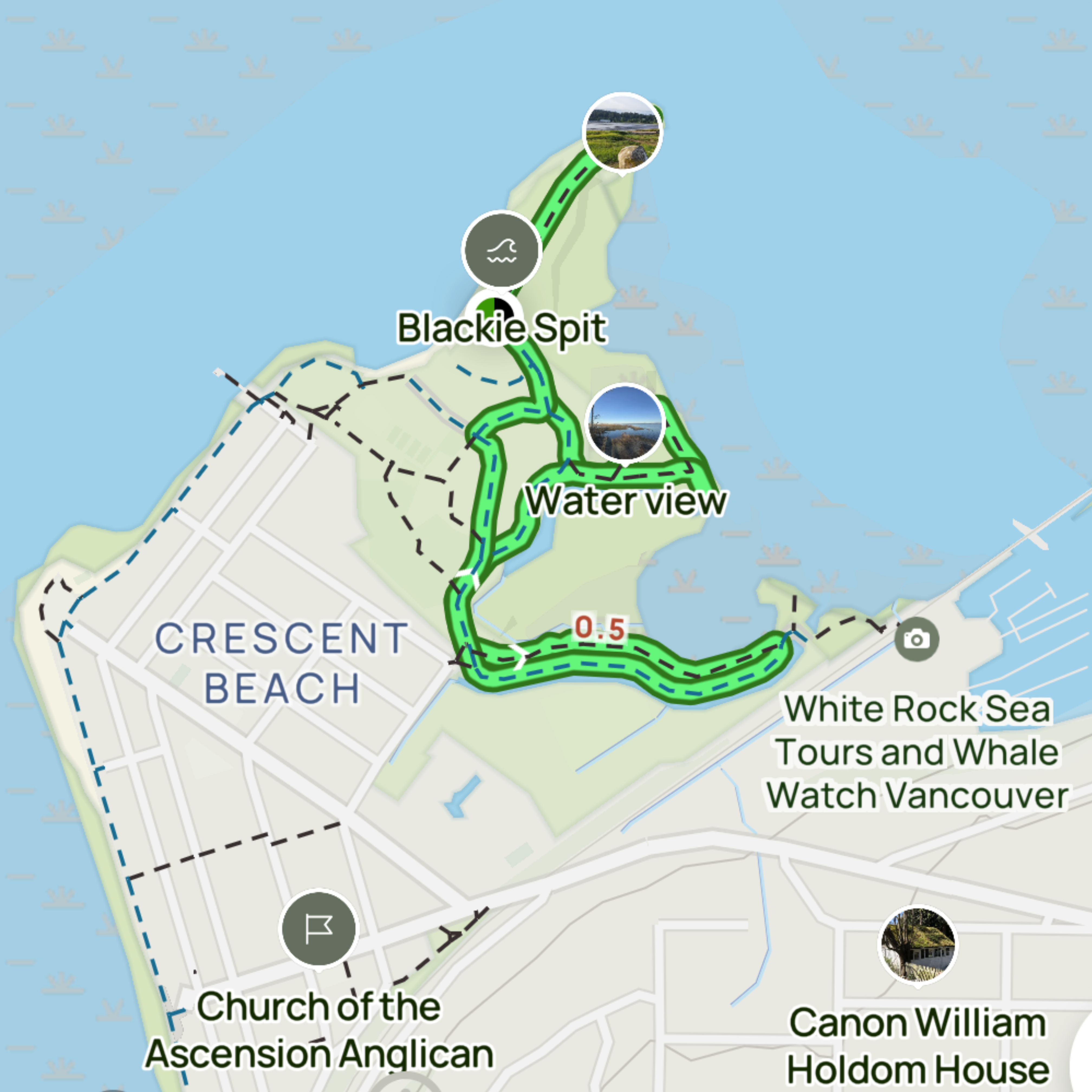 Birdwatching Tour: Explore Blackie Spit Park (Half or Full Day)