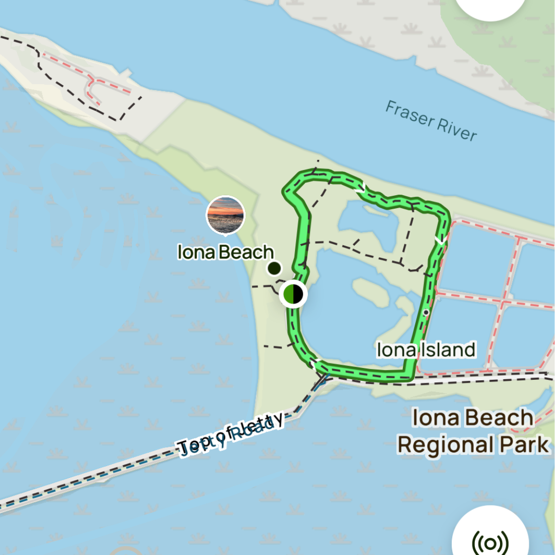 Birdwatching Tour: Explore Iona Beach (Half or Full Day)