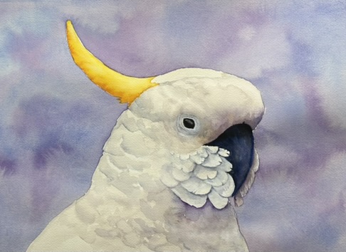 White Cockatoo in watercolour