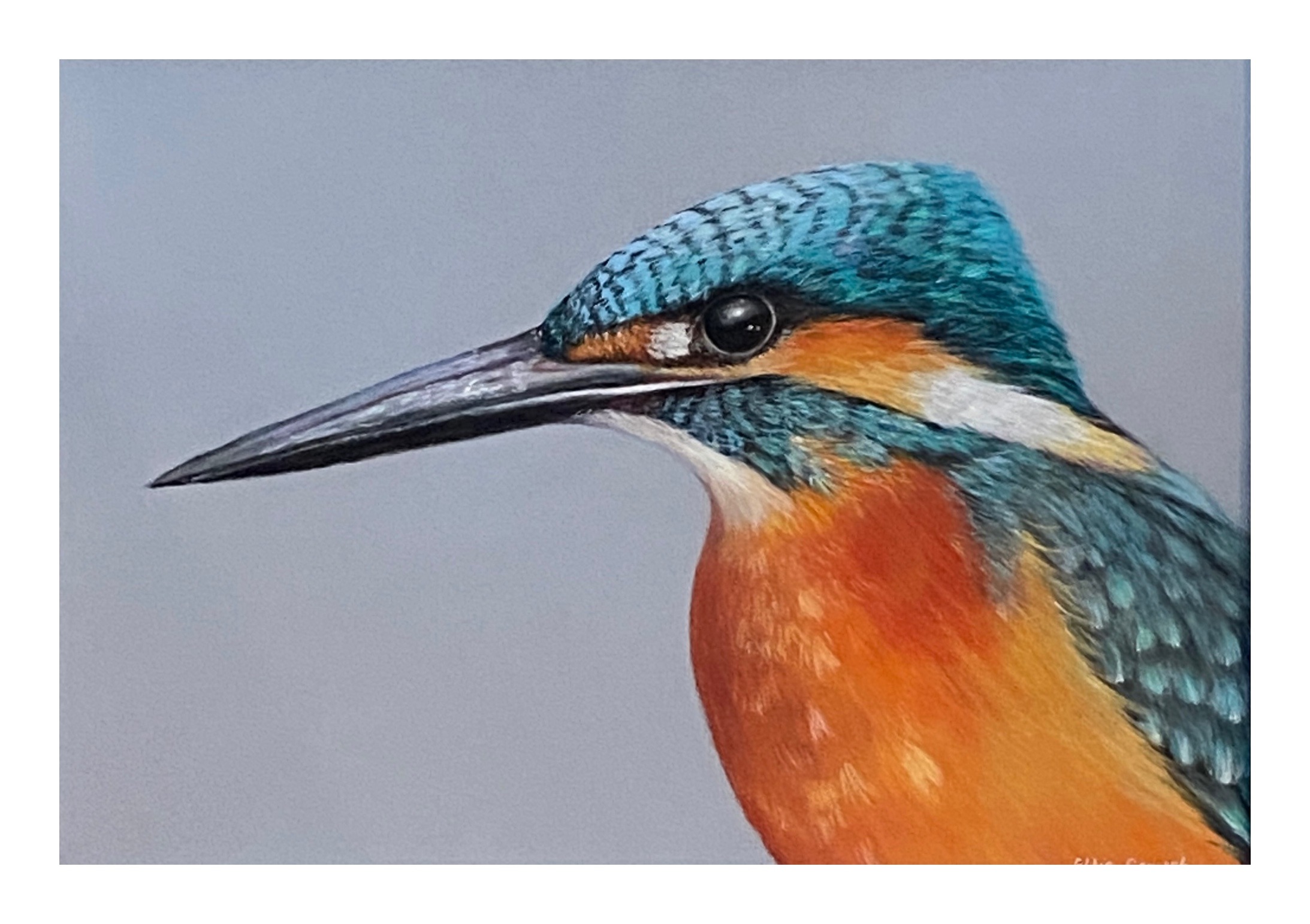 Small brightly coloured Kingfisher