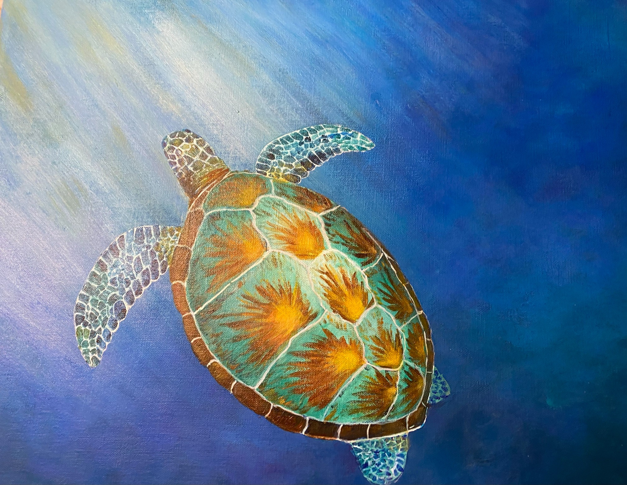 Graceful turtle swimming to the light