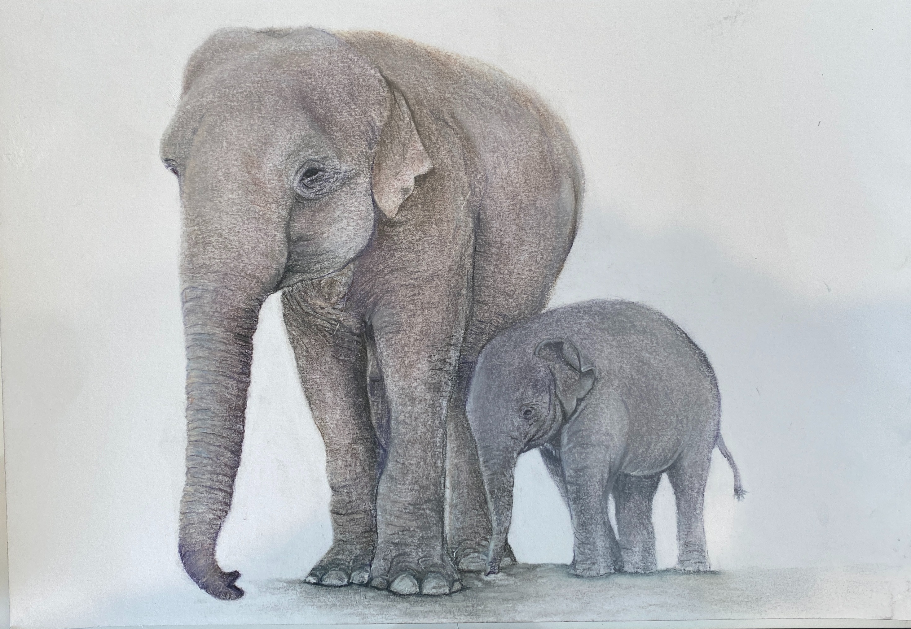 Adult elephant with its calf in Pastel