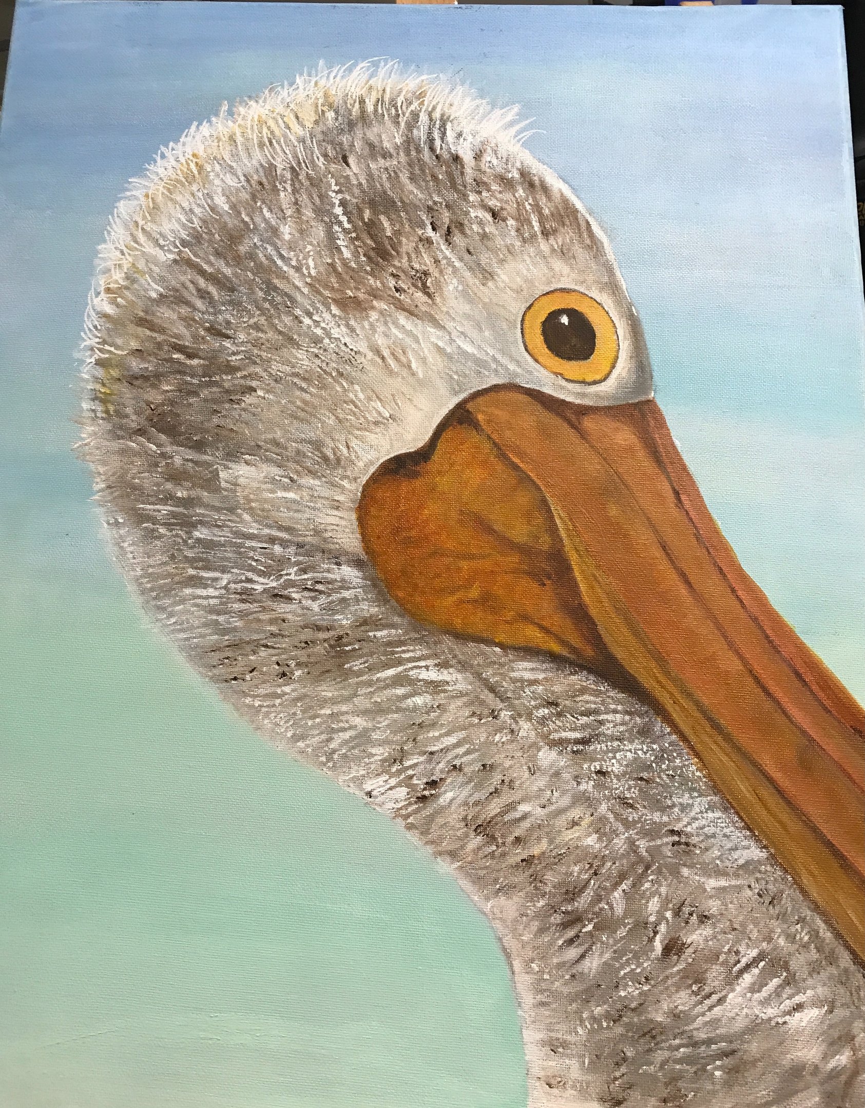 Pelican painting in Acrylic