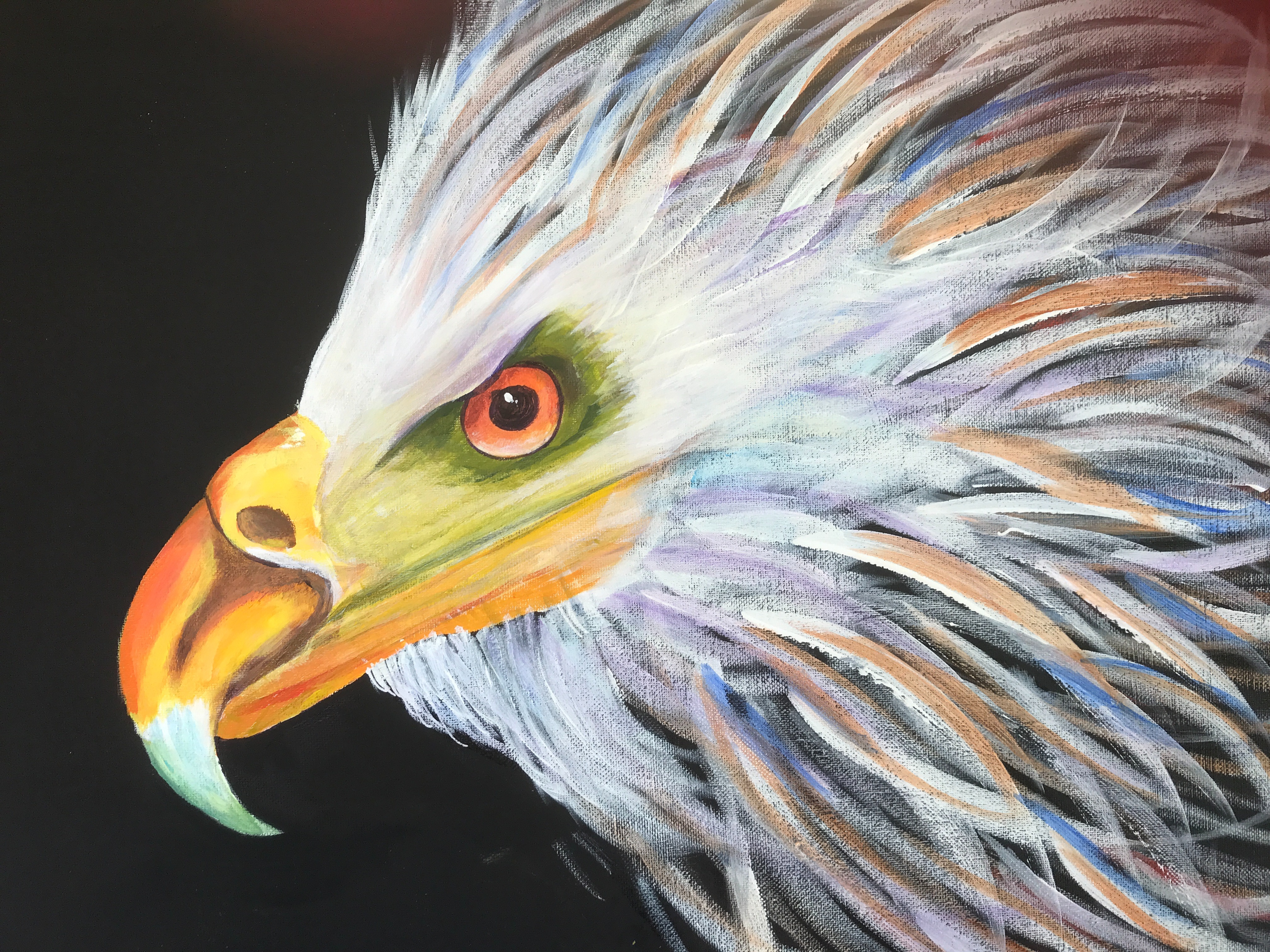 Bald eagle painted in Acrylic