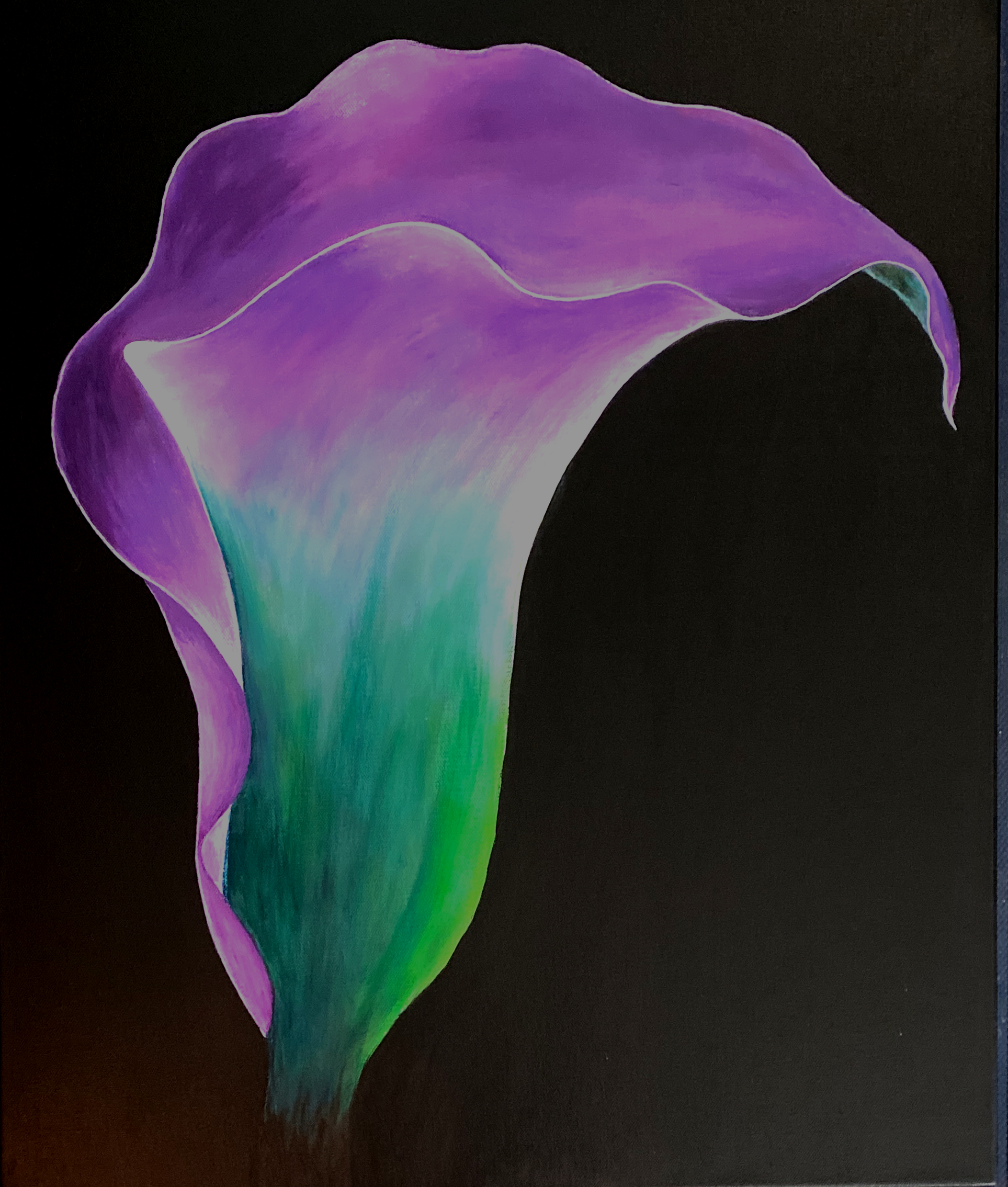 Purple Calla Lily Painting