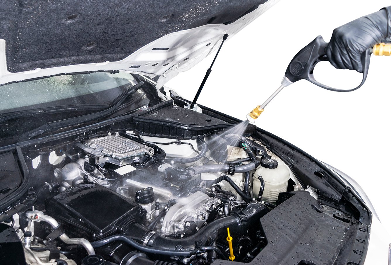 Engine Bay Detail