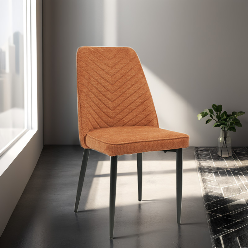 Modern Dining Chair
