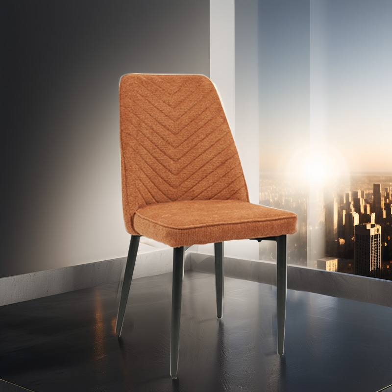 Modern Dining Chair