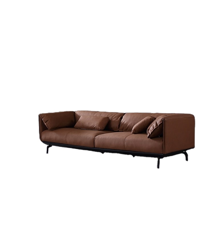 Modern Brown Sofa