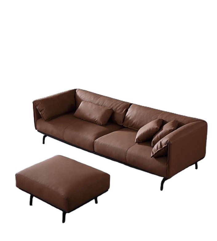 Modern Brown Sofa