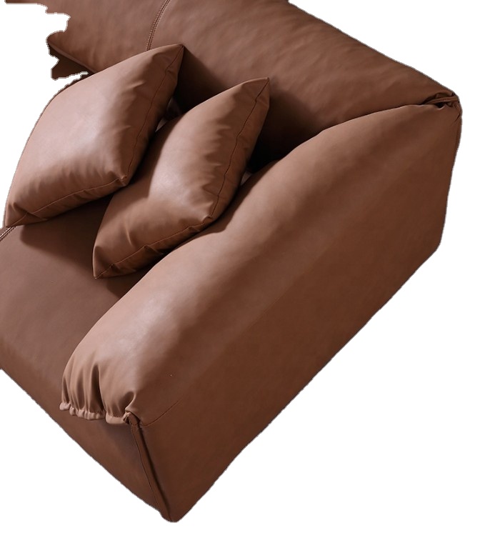 Modern Brown Sofa