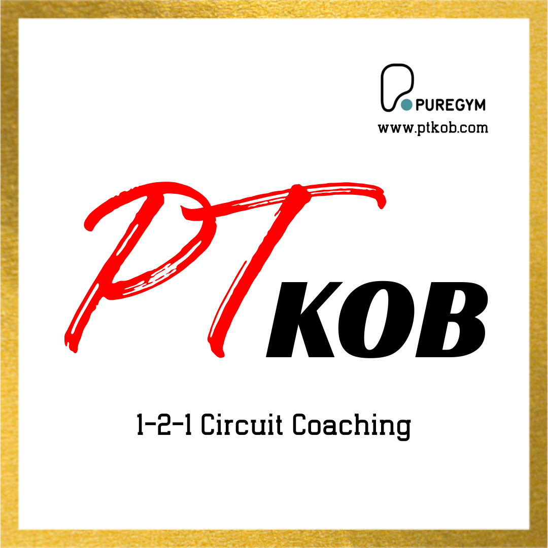 Trial 1-2-1 Circuit