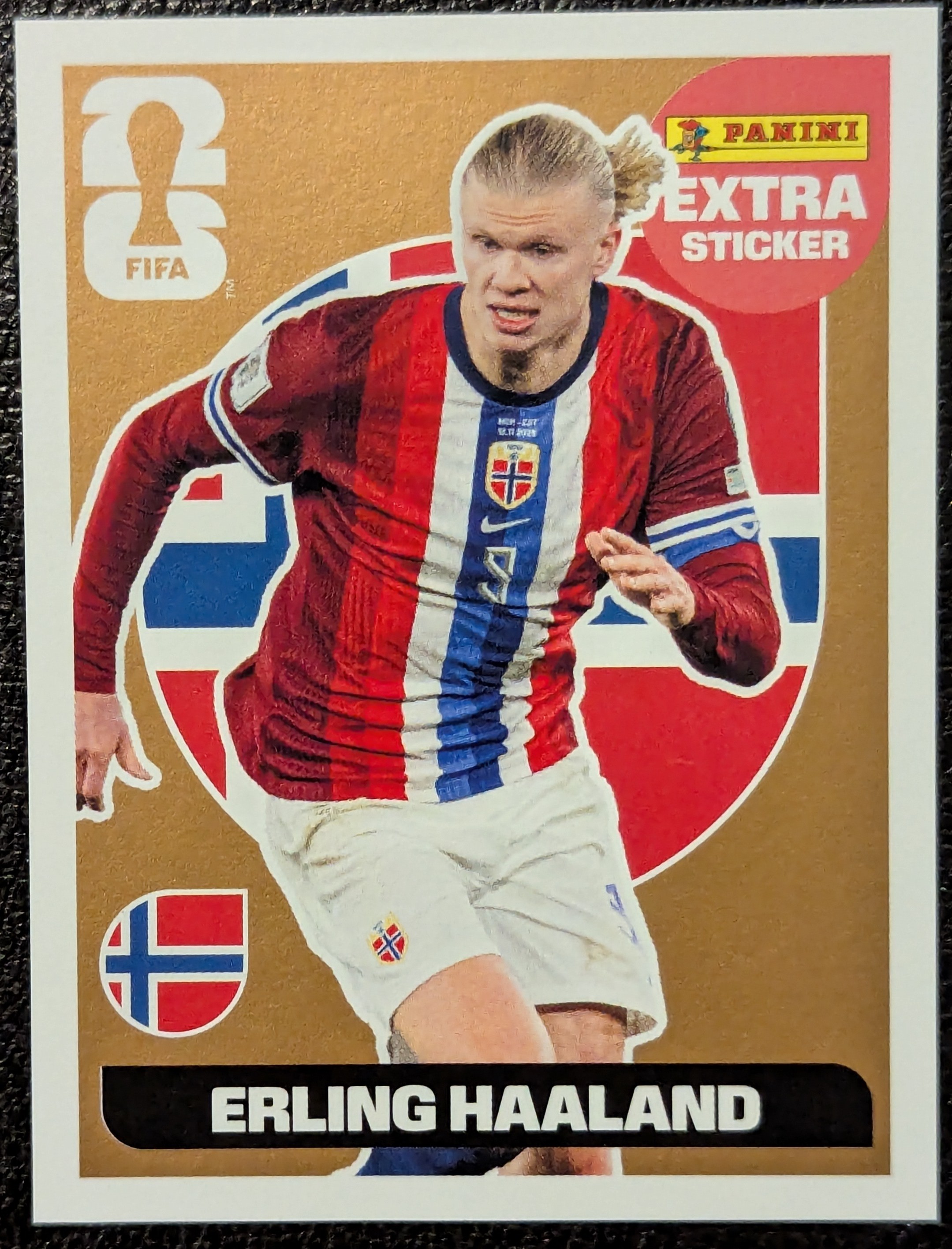 Erling Haaland (2025/26)