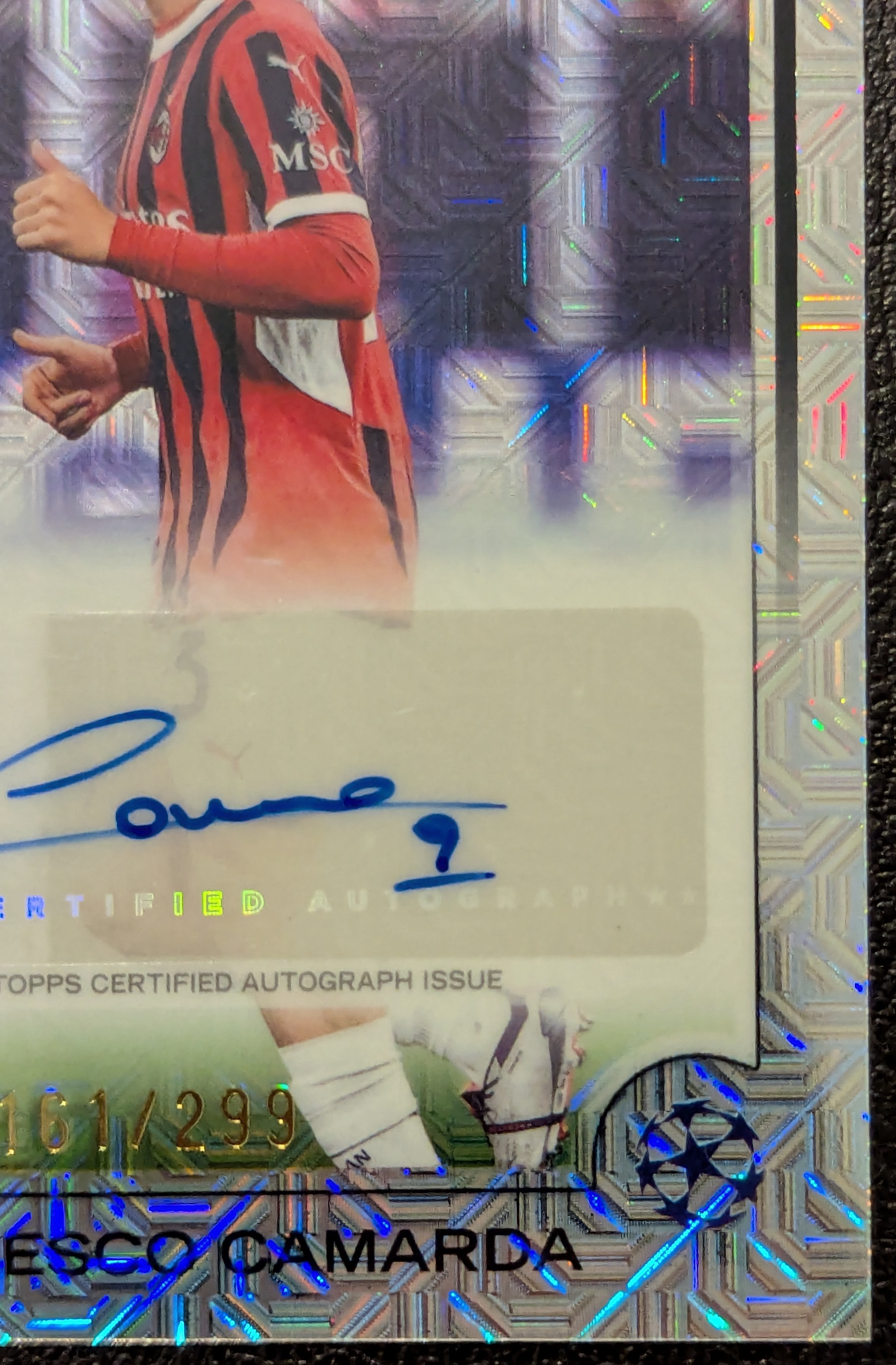 Francesco Camarda (2024/25)