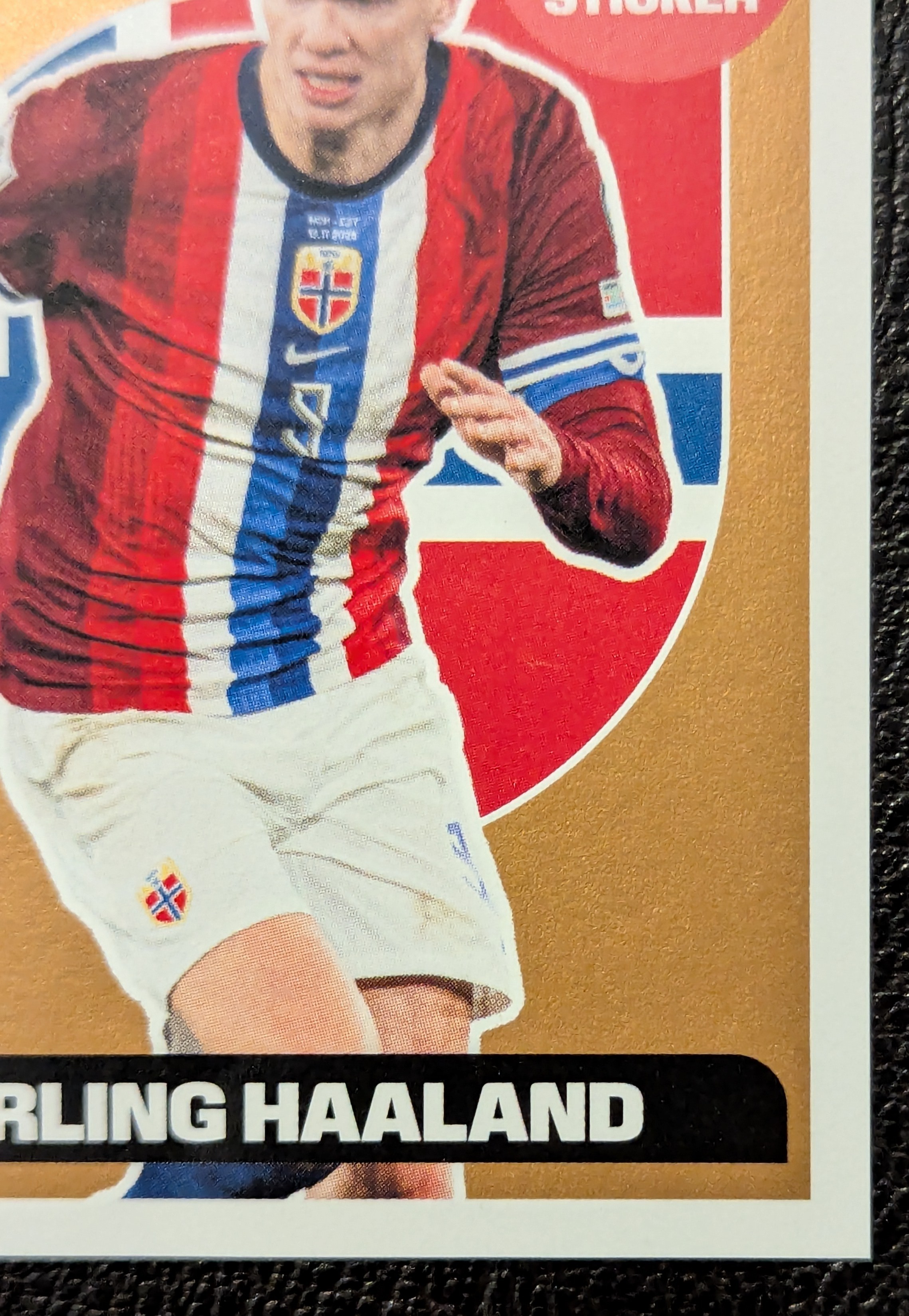 Erling Haaland (2025/26)