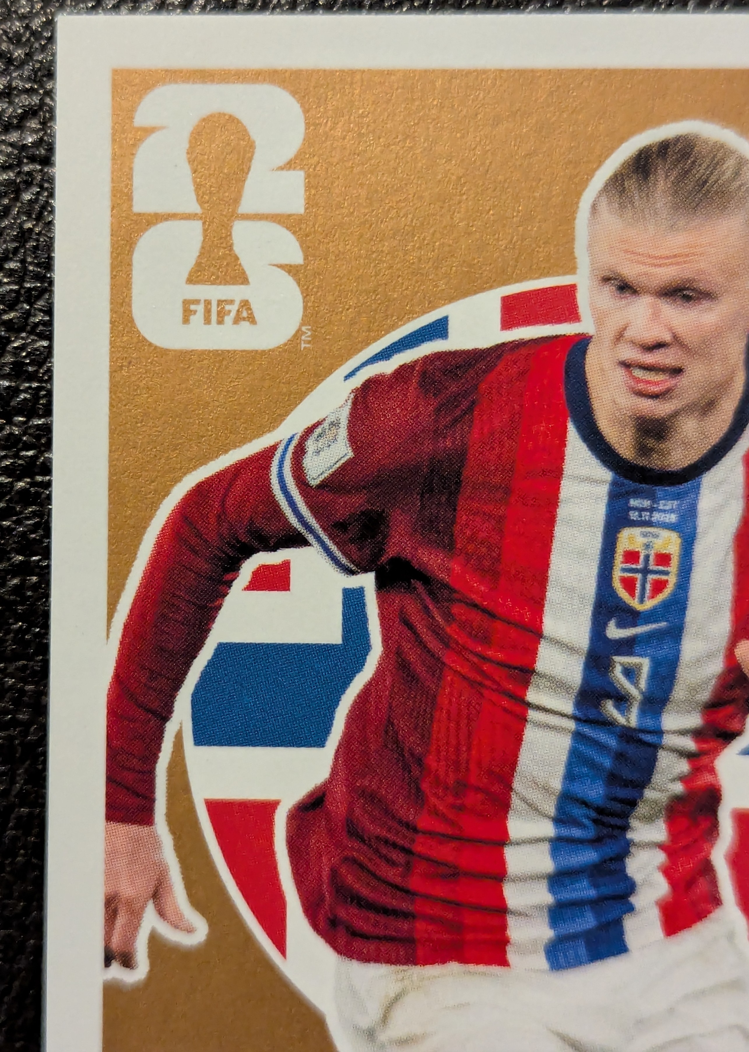 Erling Haaland (2025/26)