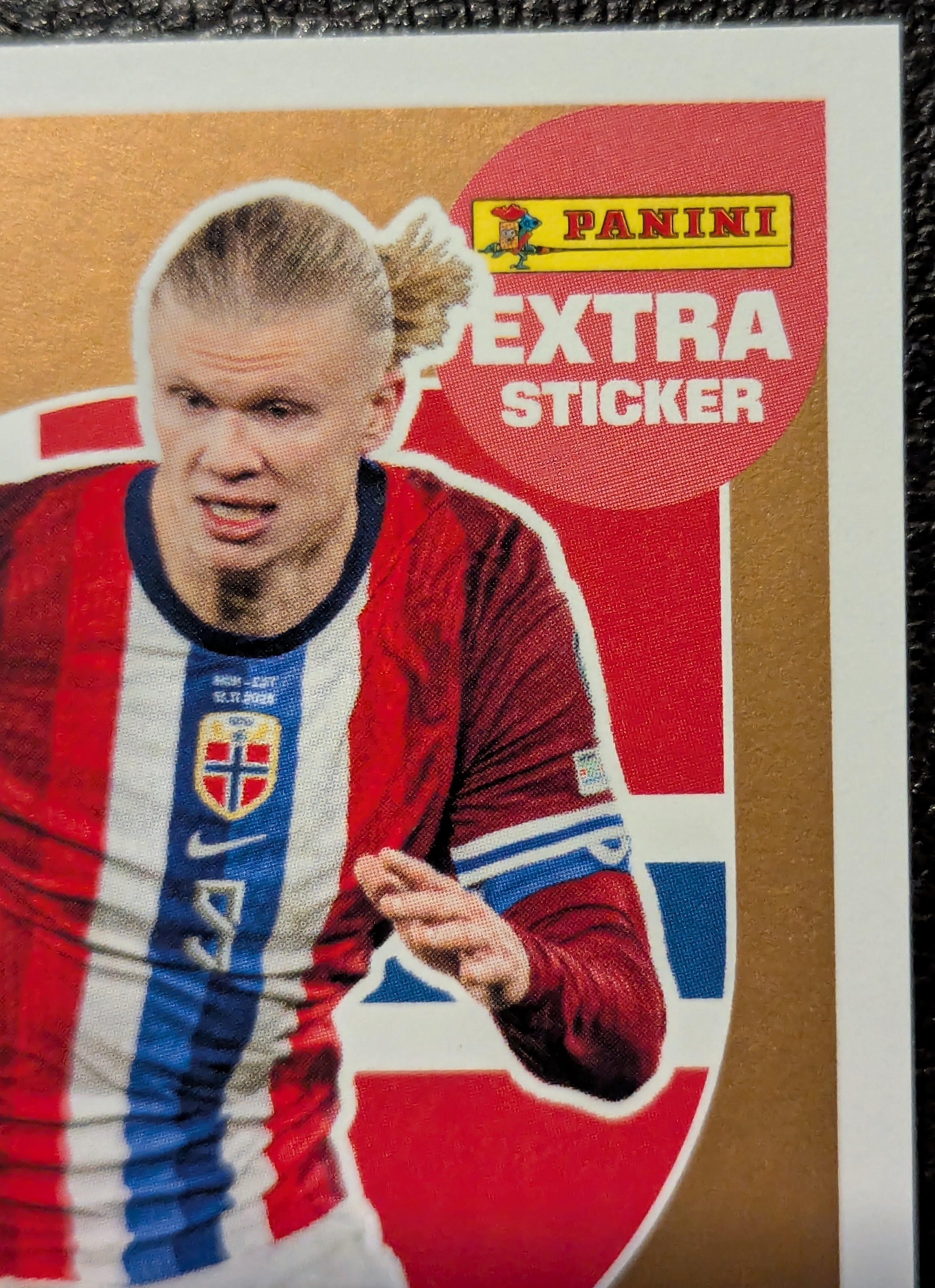 Erling Haaland (2025/26)