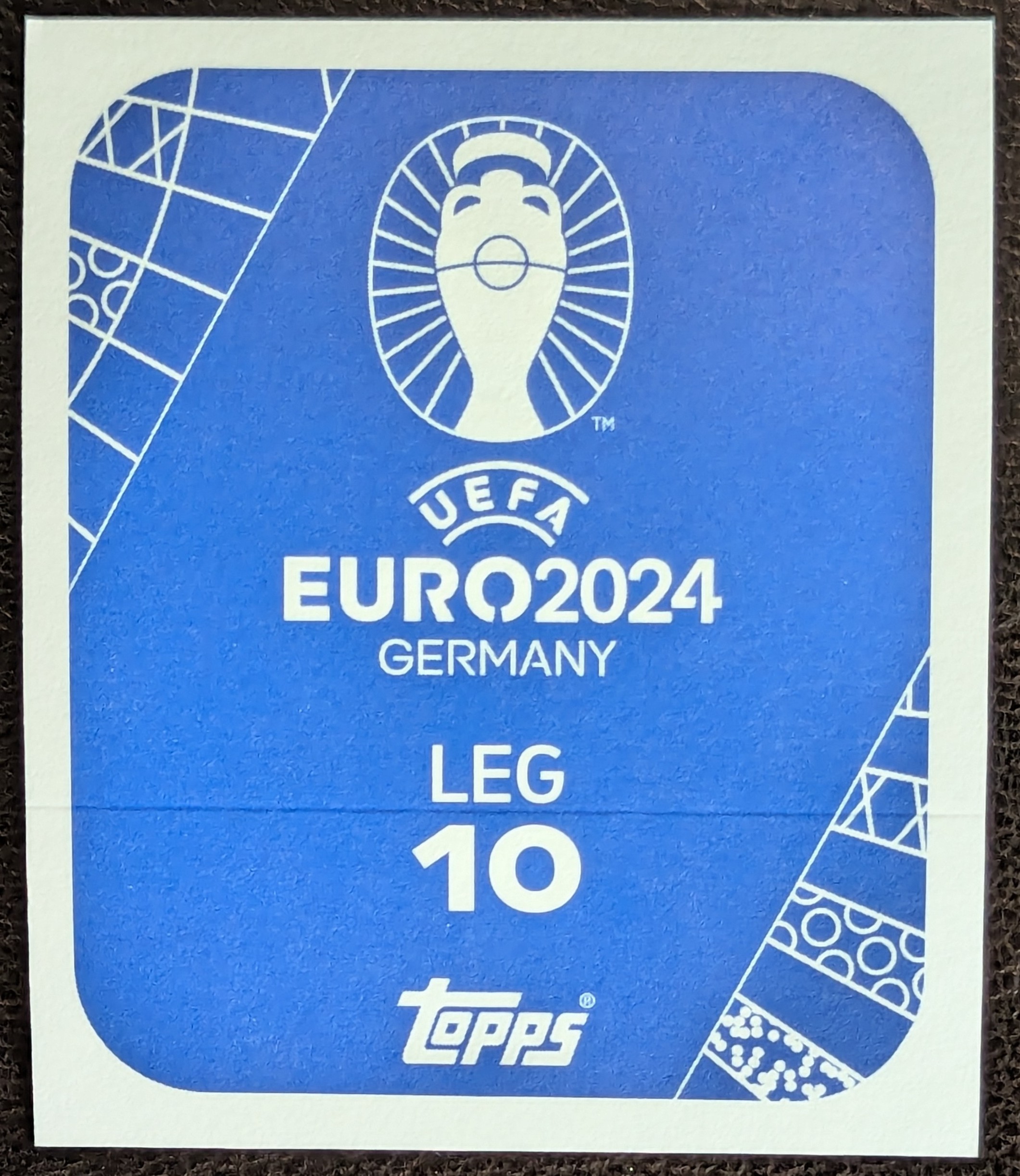 Zlatan Ibrahimovic (2023/24)