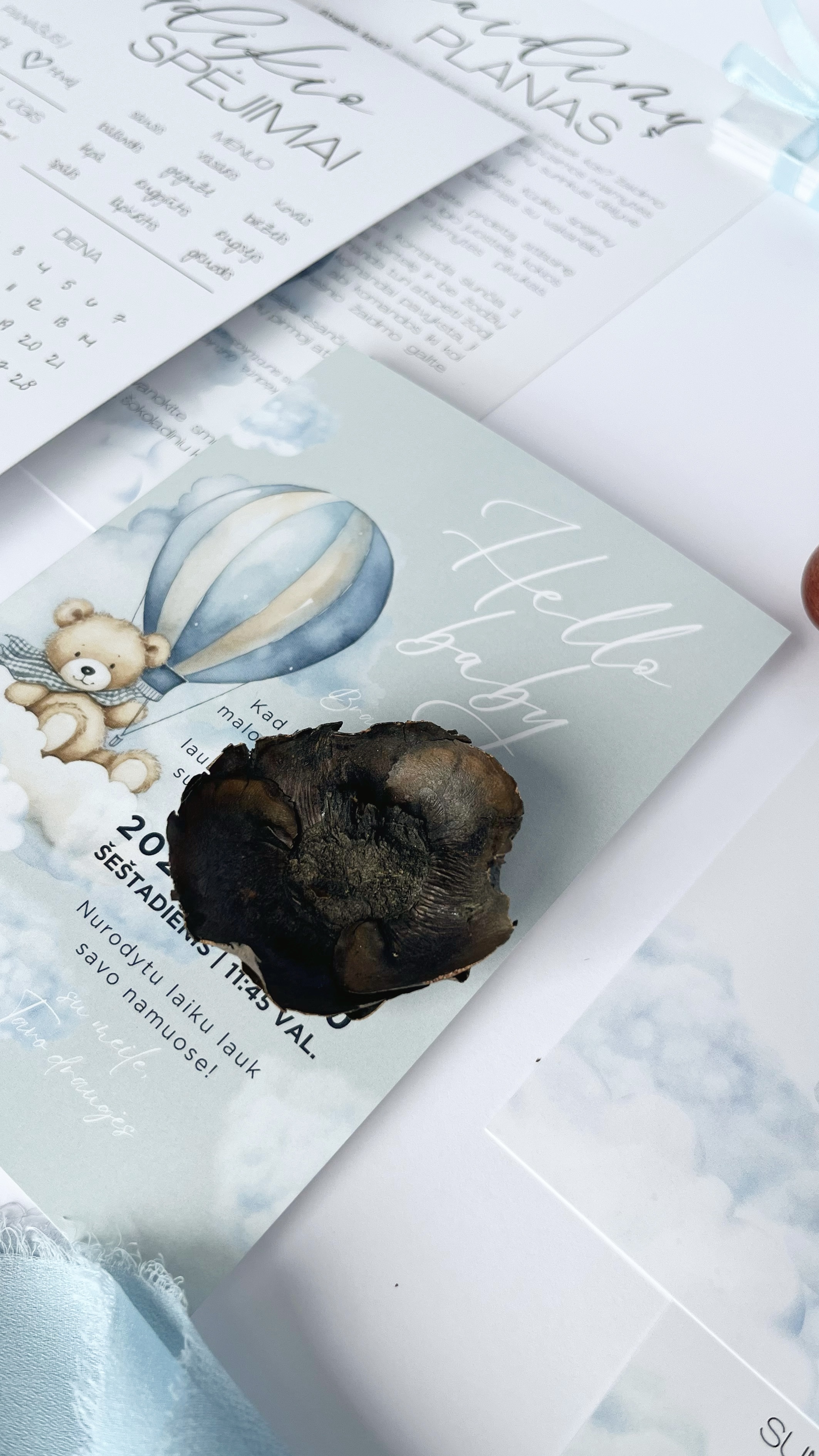 Kvietimas Little Bear’s Flight