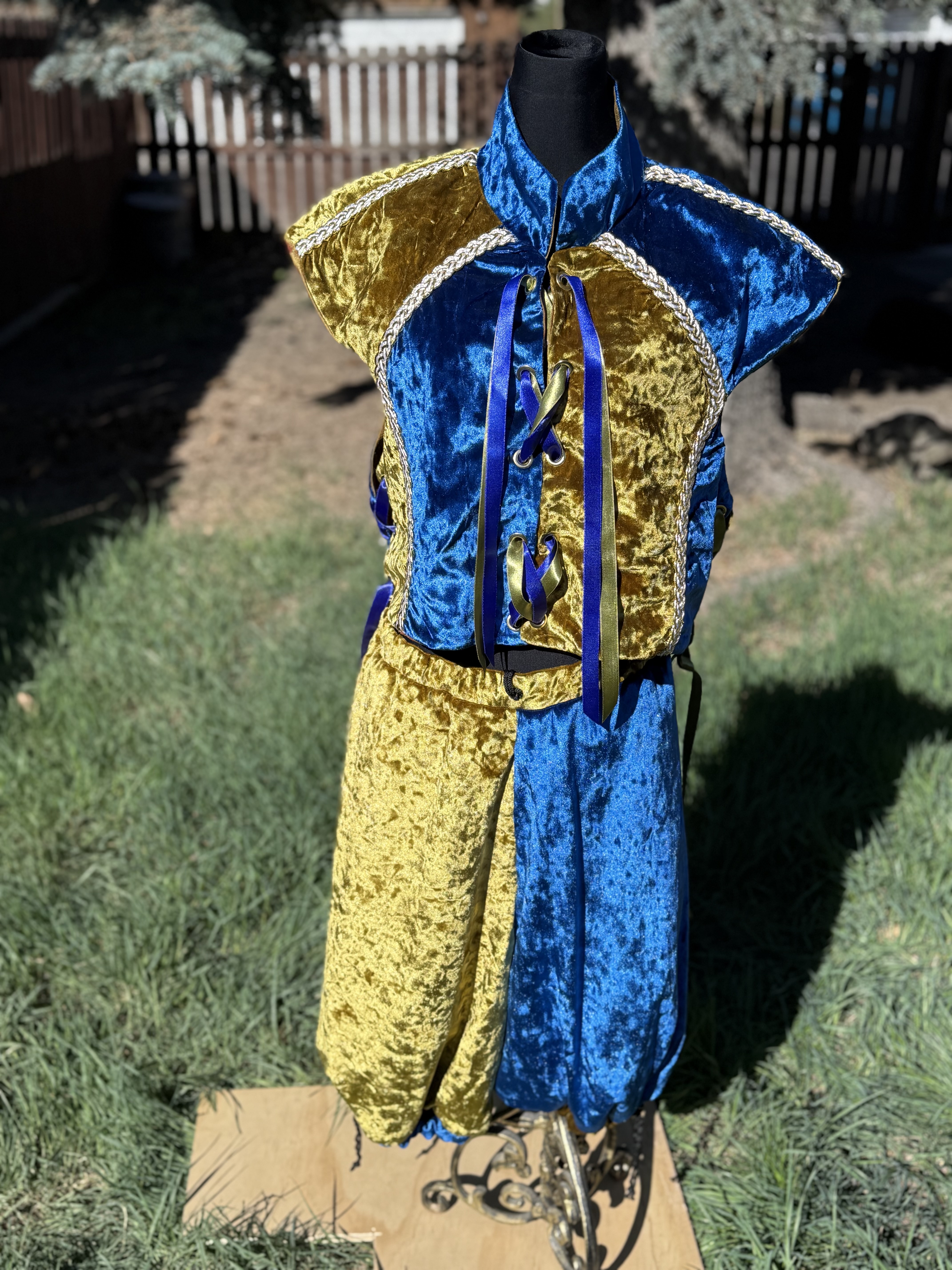 Blue and Gold Jester