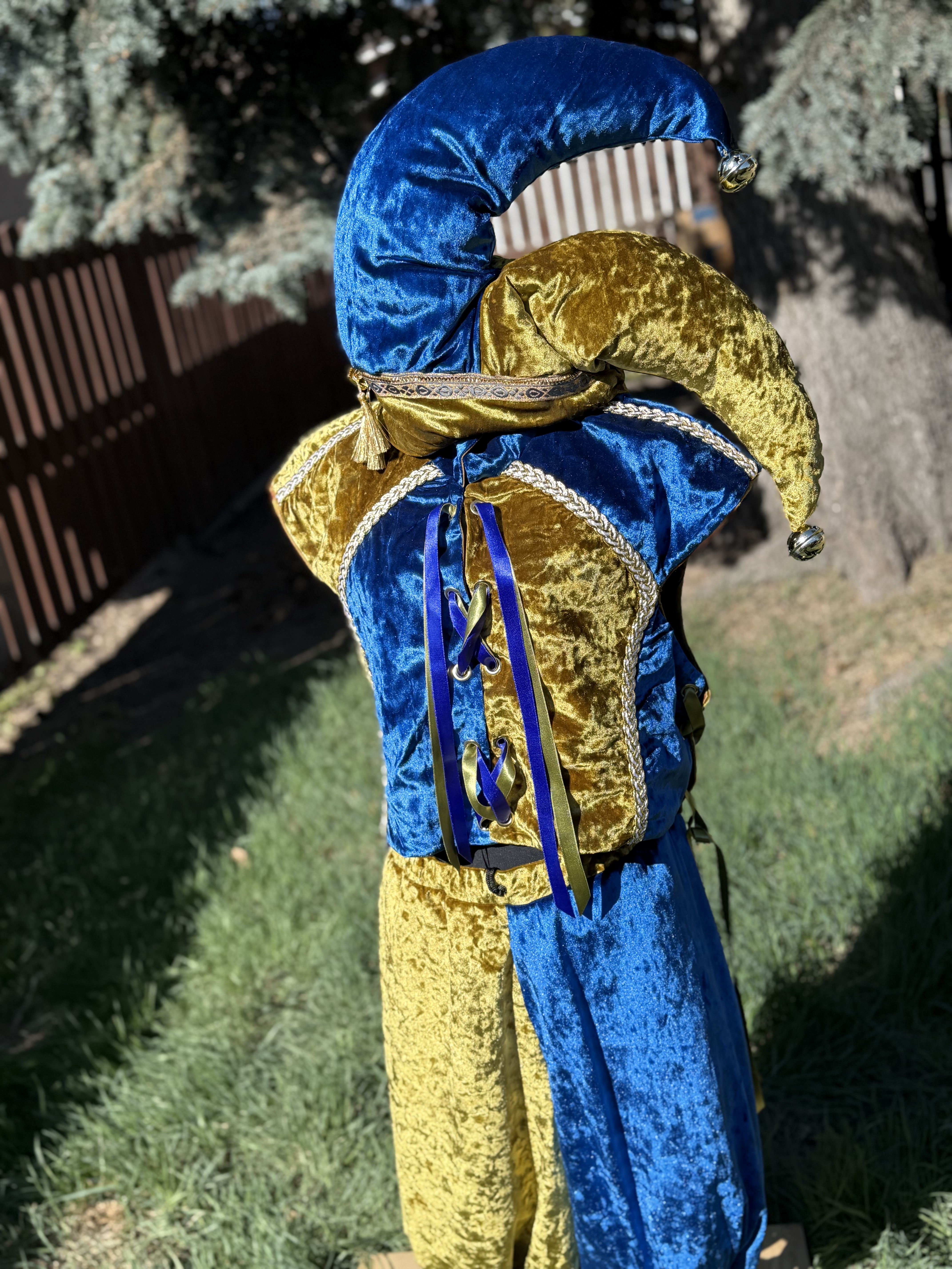 Blue and Gold Jester