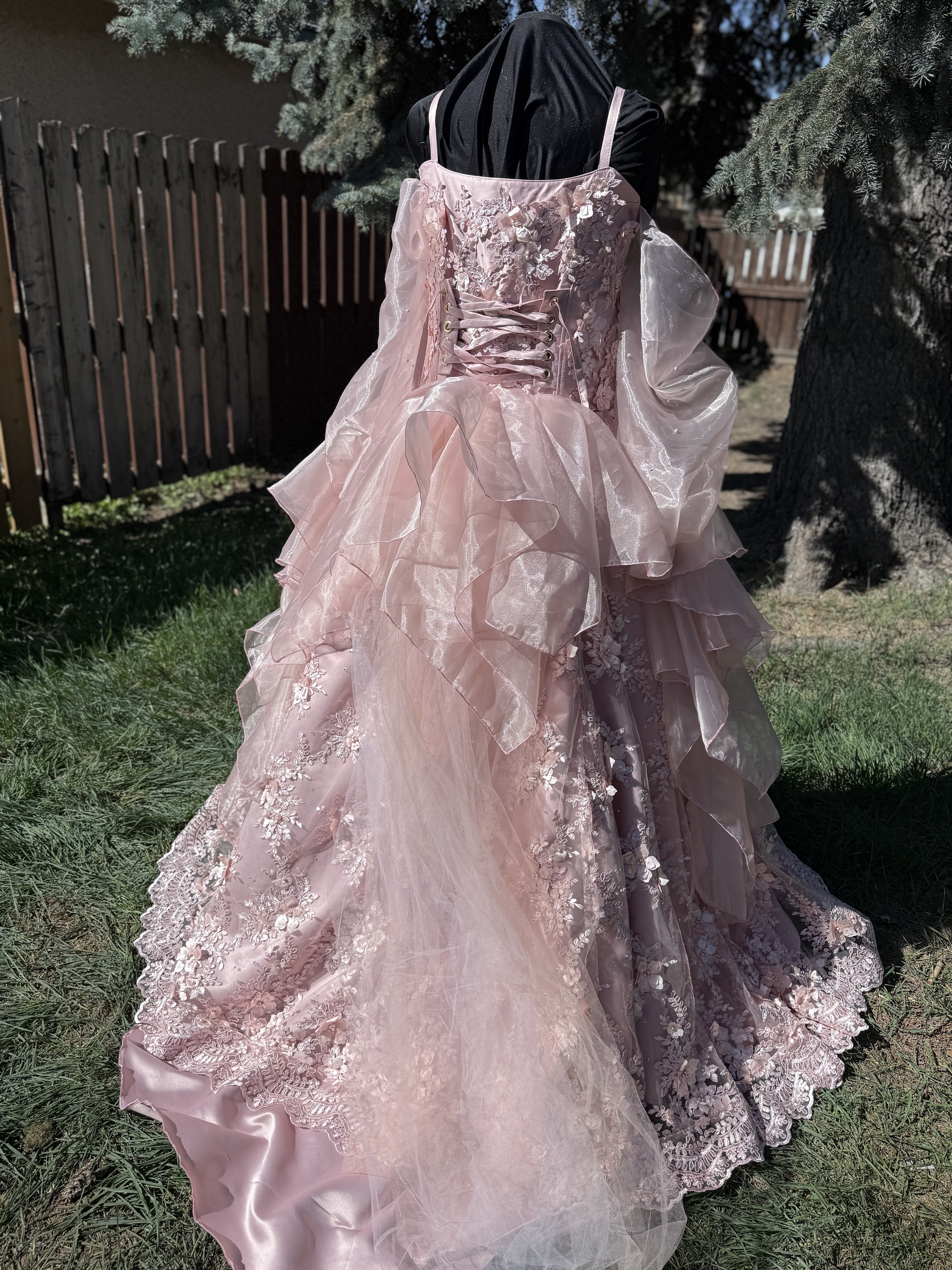 Blush Floral Lace Ball Gown