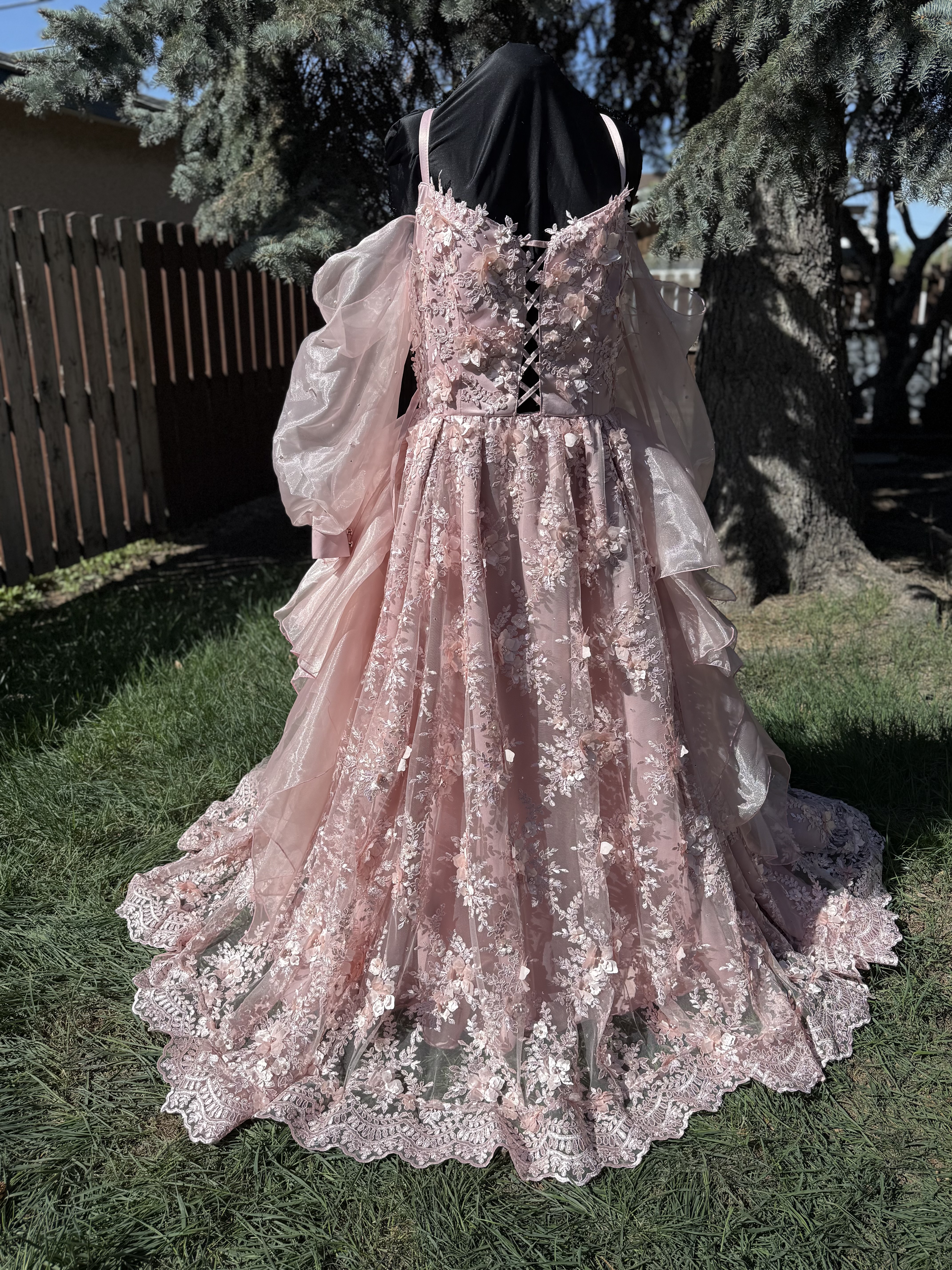 Blush Floral Lace Ball Gown