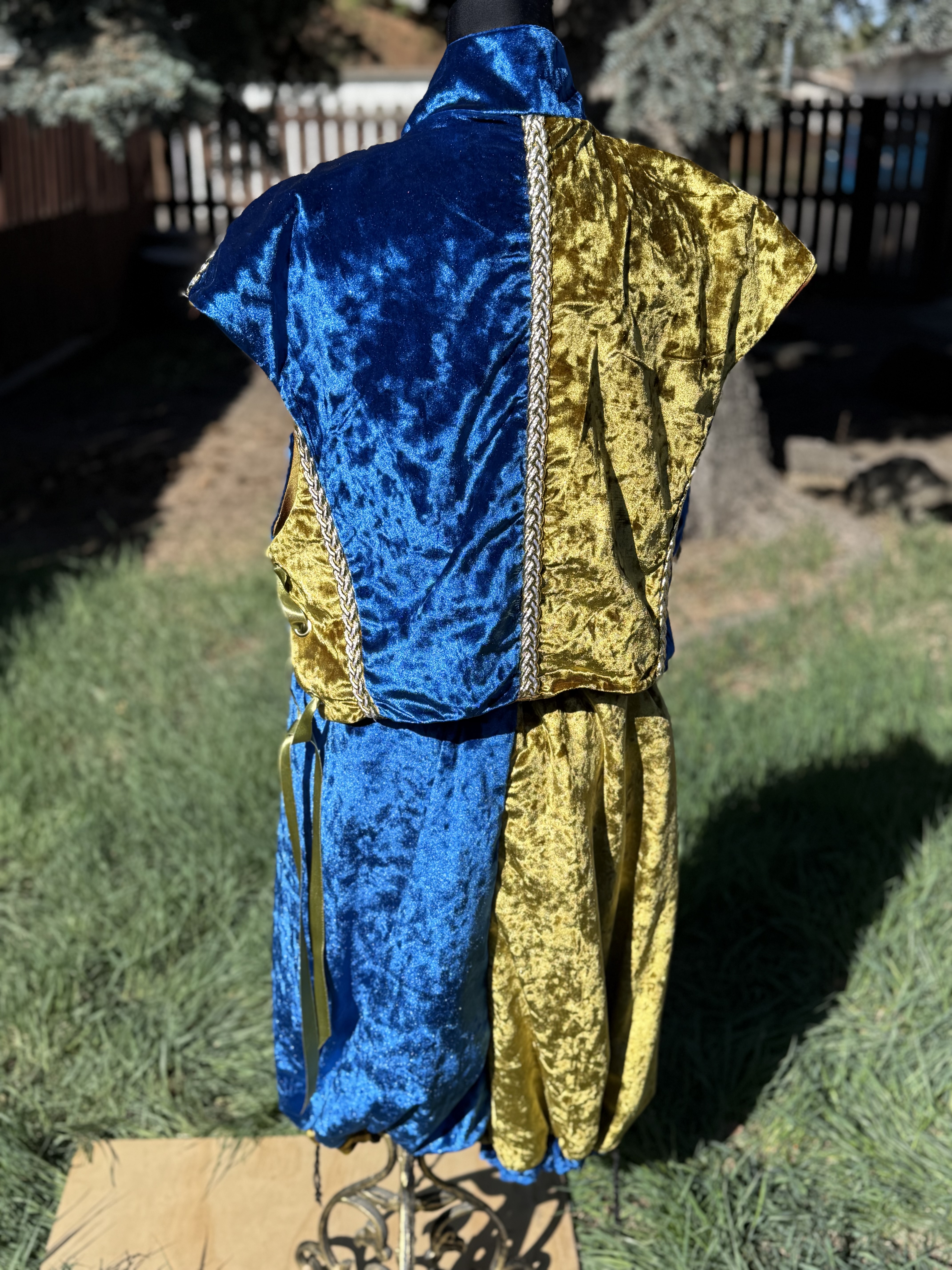 Blue and Gold Jester