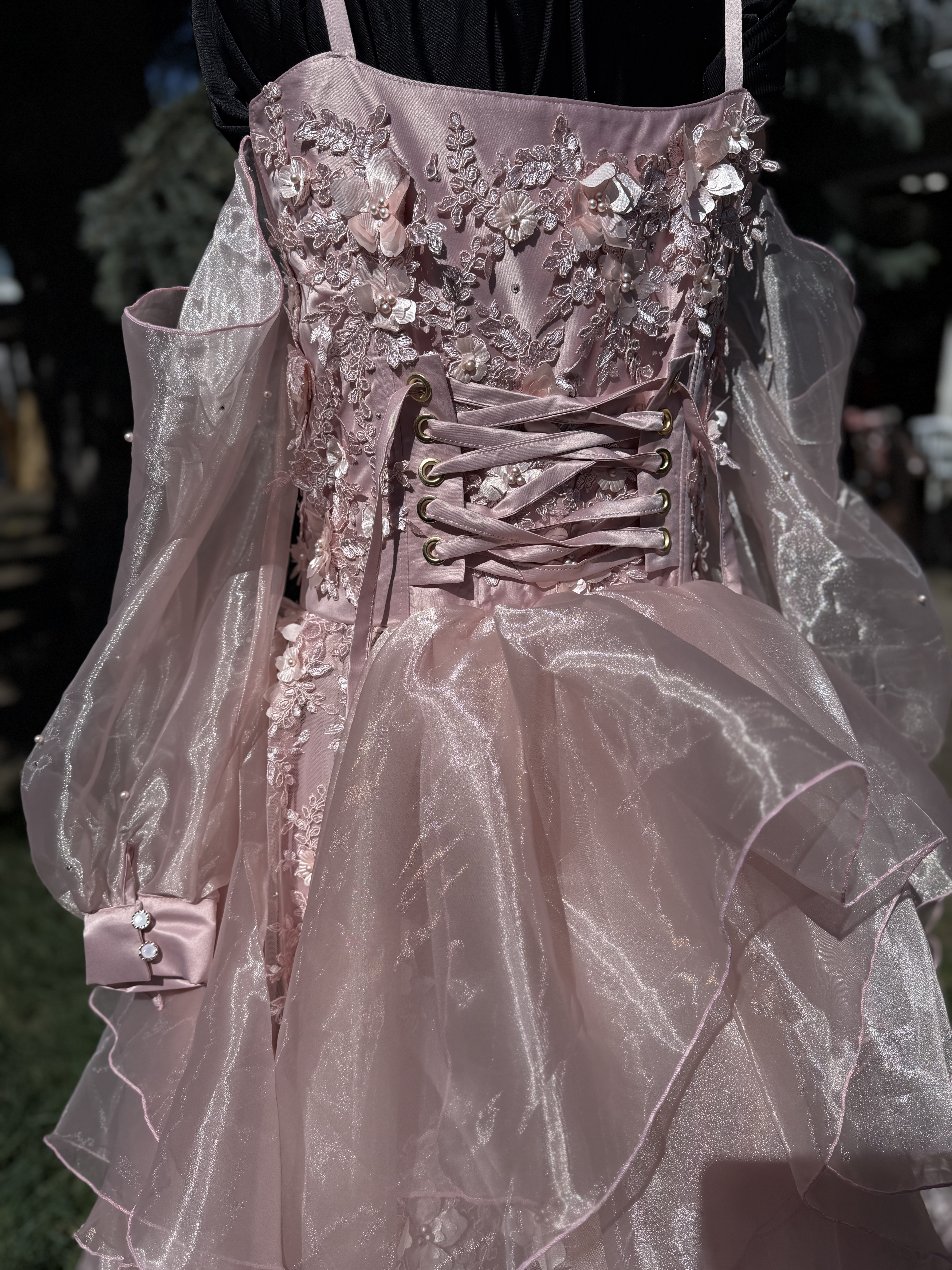 Blush Floral Lace Ball Gown
