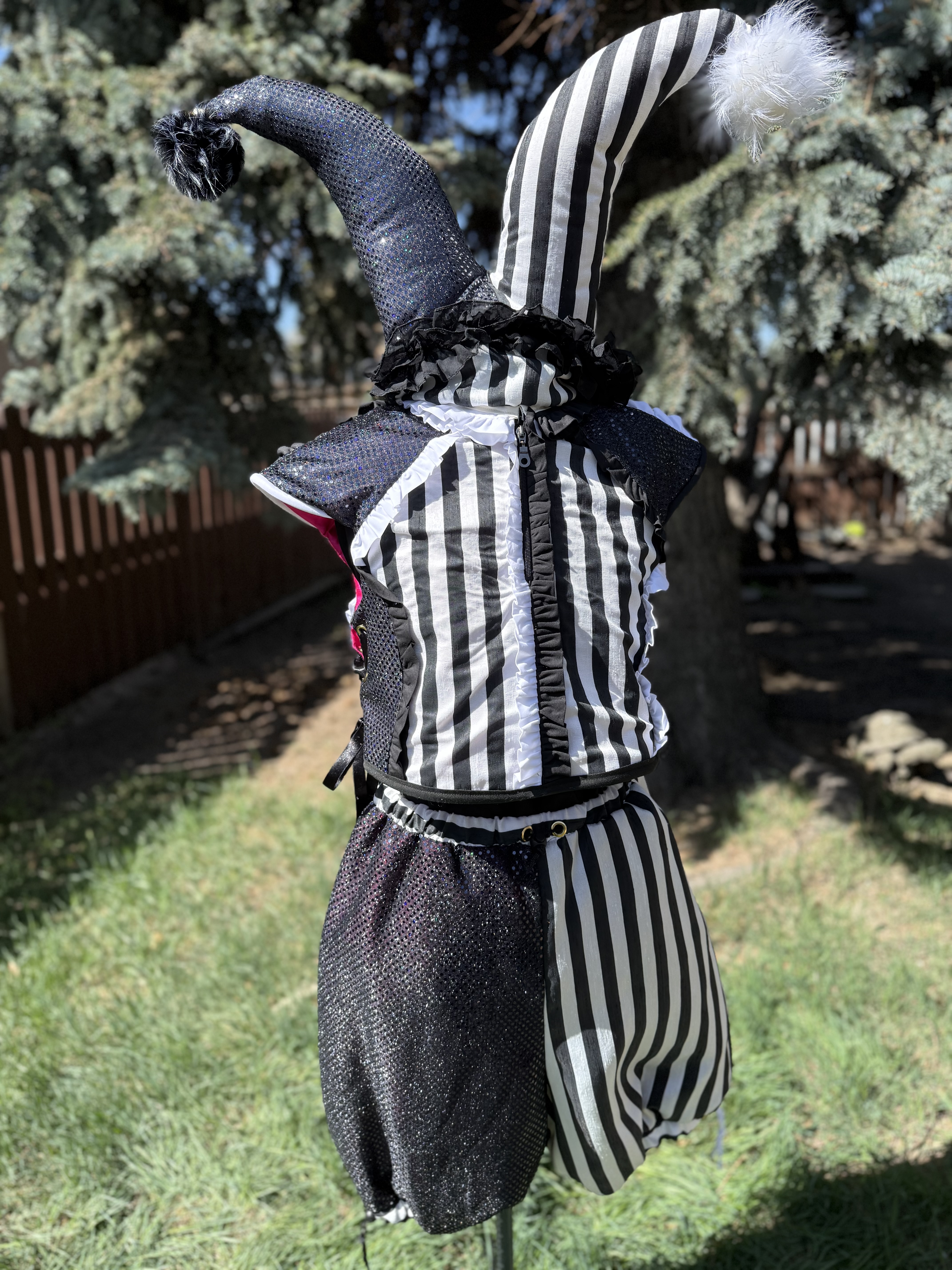 Black & White Jester