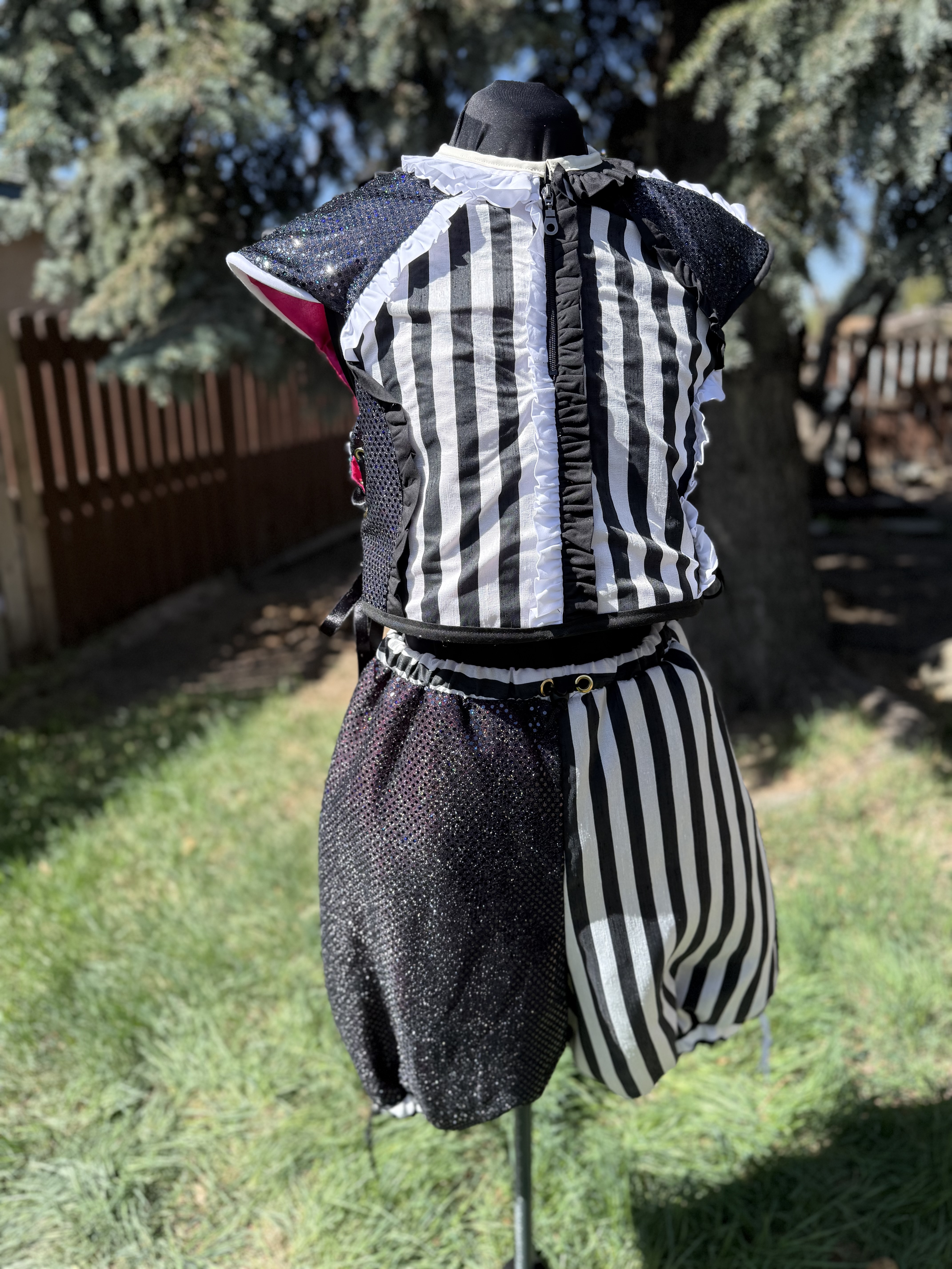 Black & White Jester