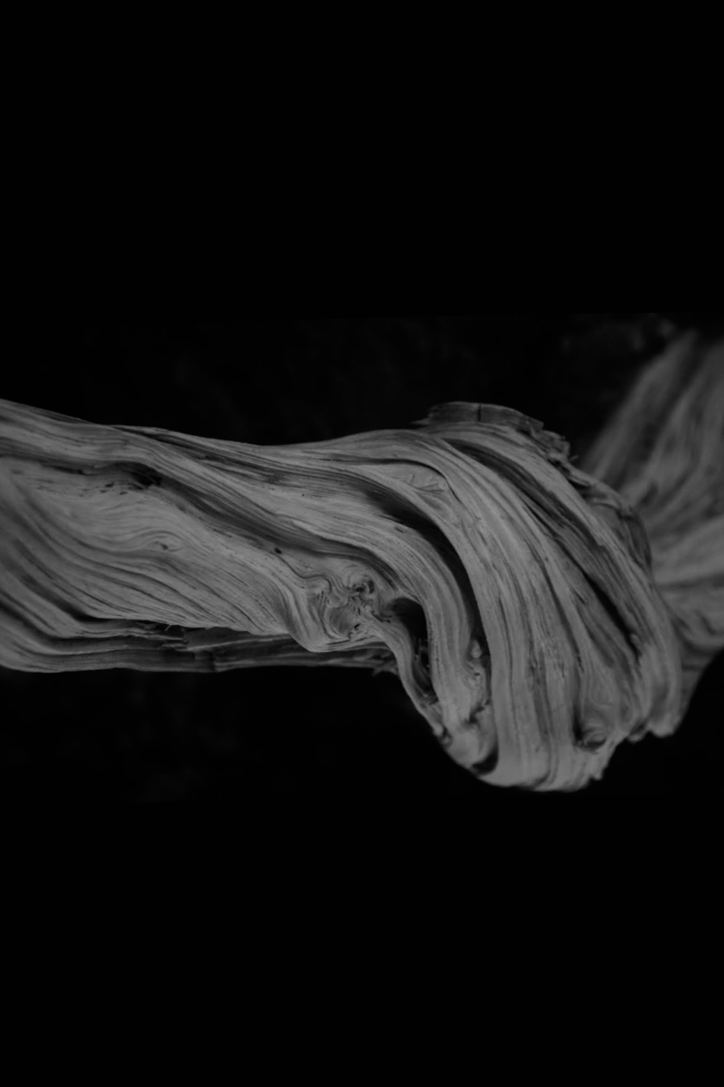 Photographs on canvas