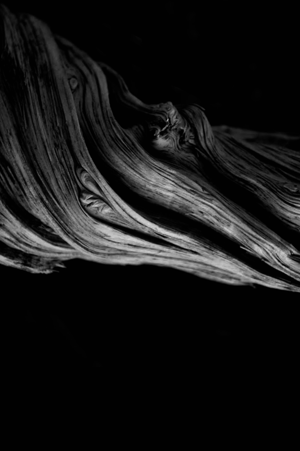 Photographs on canvas