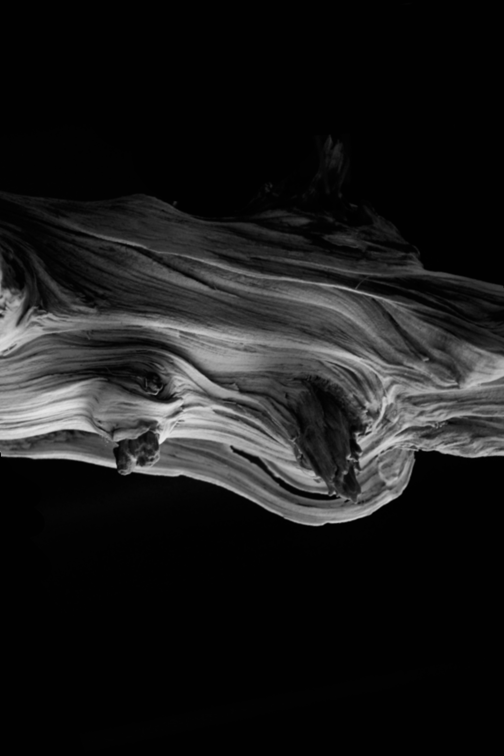 Photographs on canvas